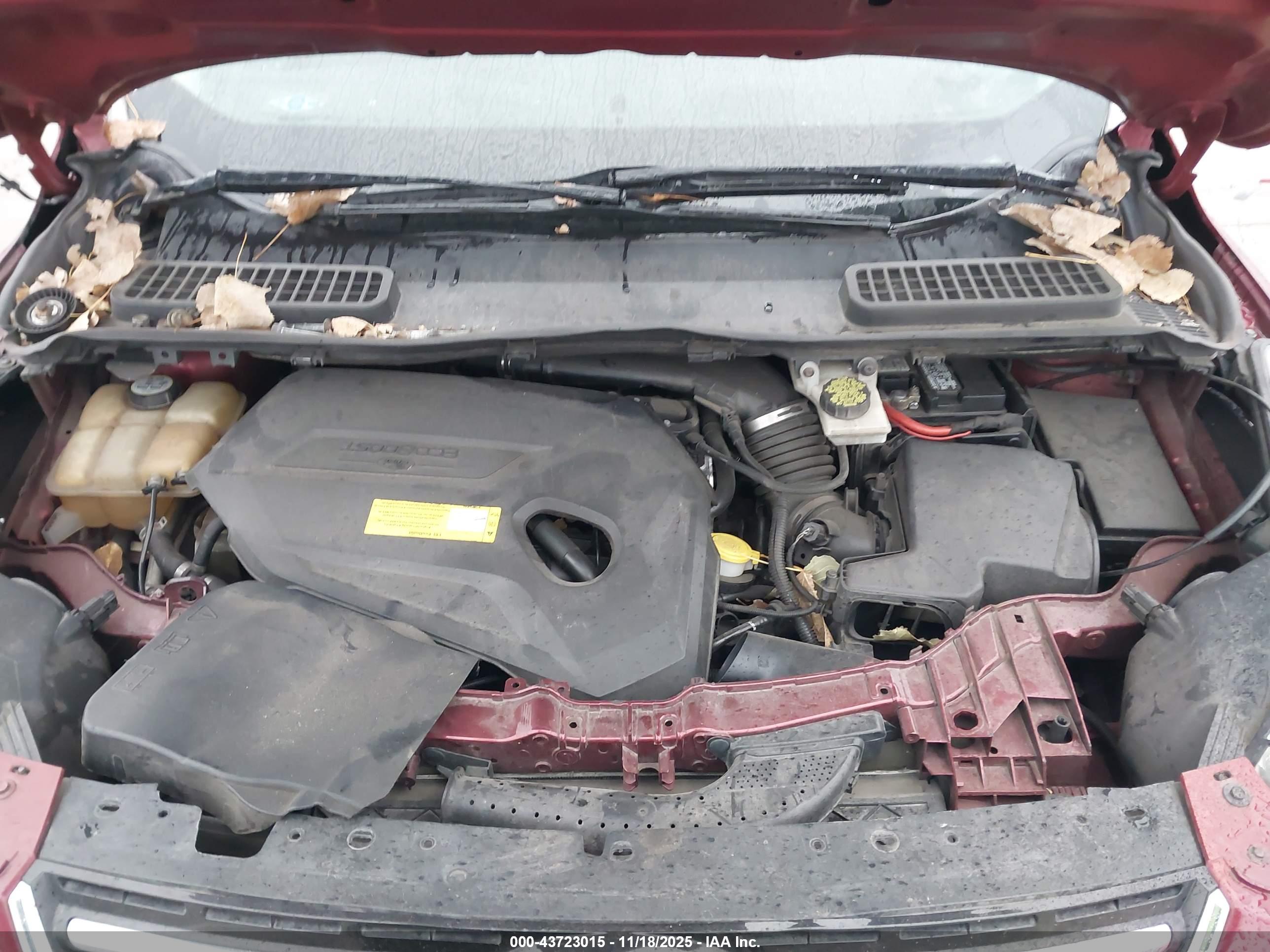FORD ESCAPE image 10