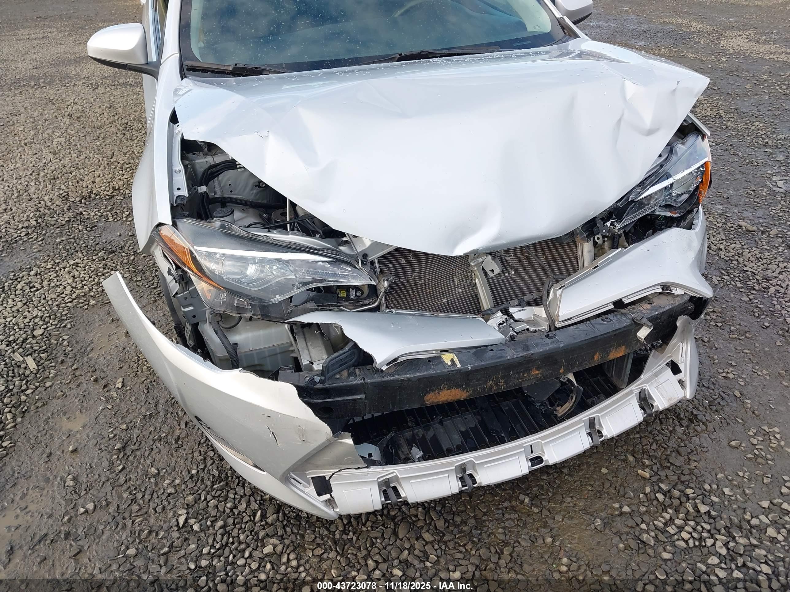 TOYOTA COROLLA image 6