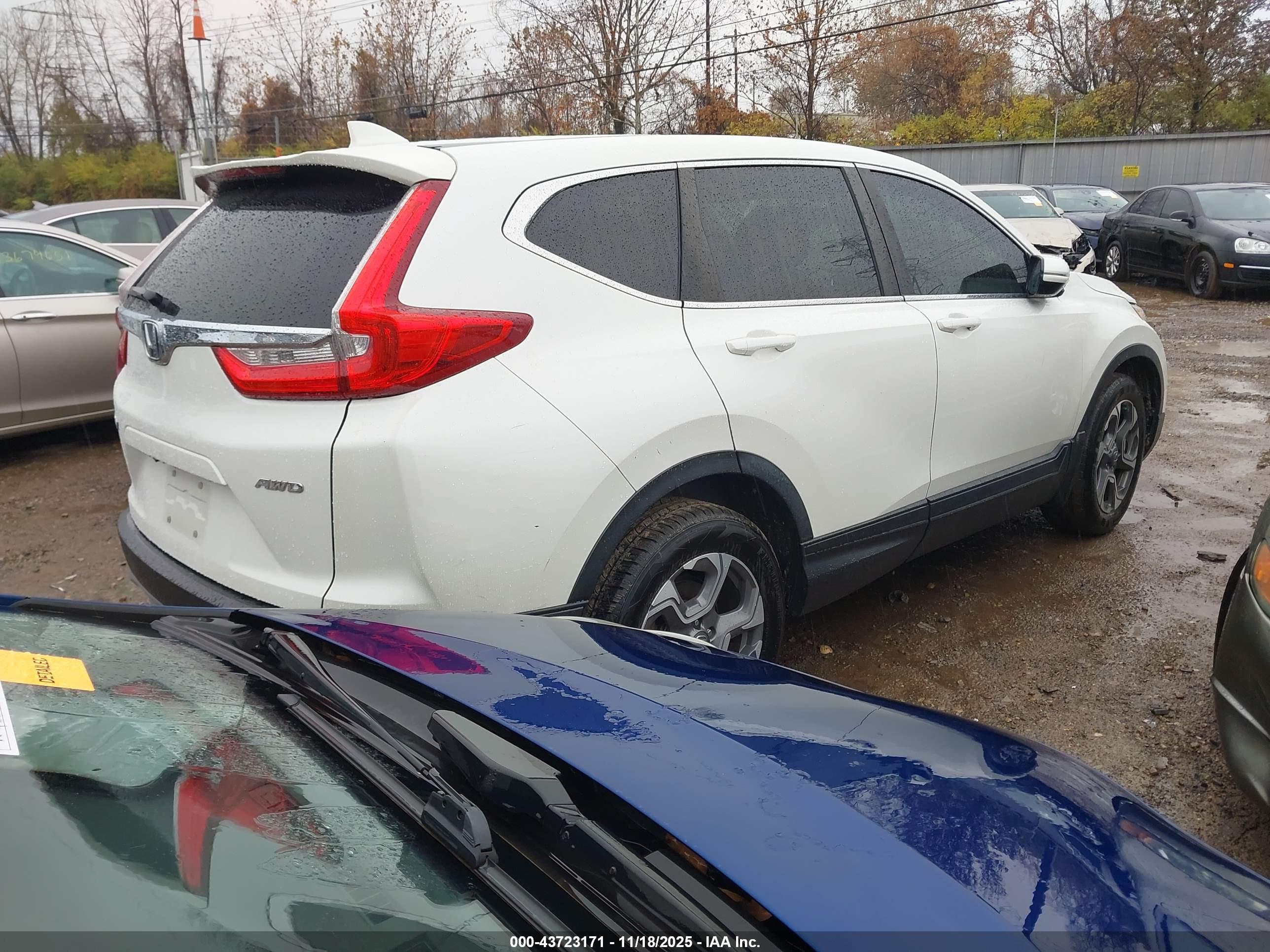 HONDA CR-V image 4
