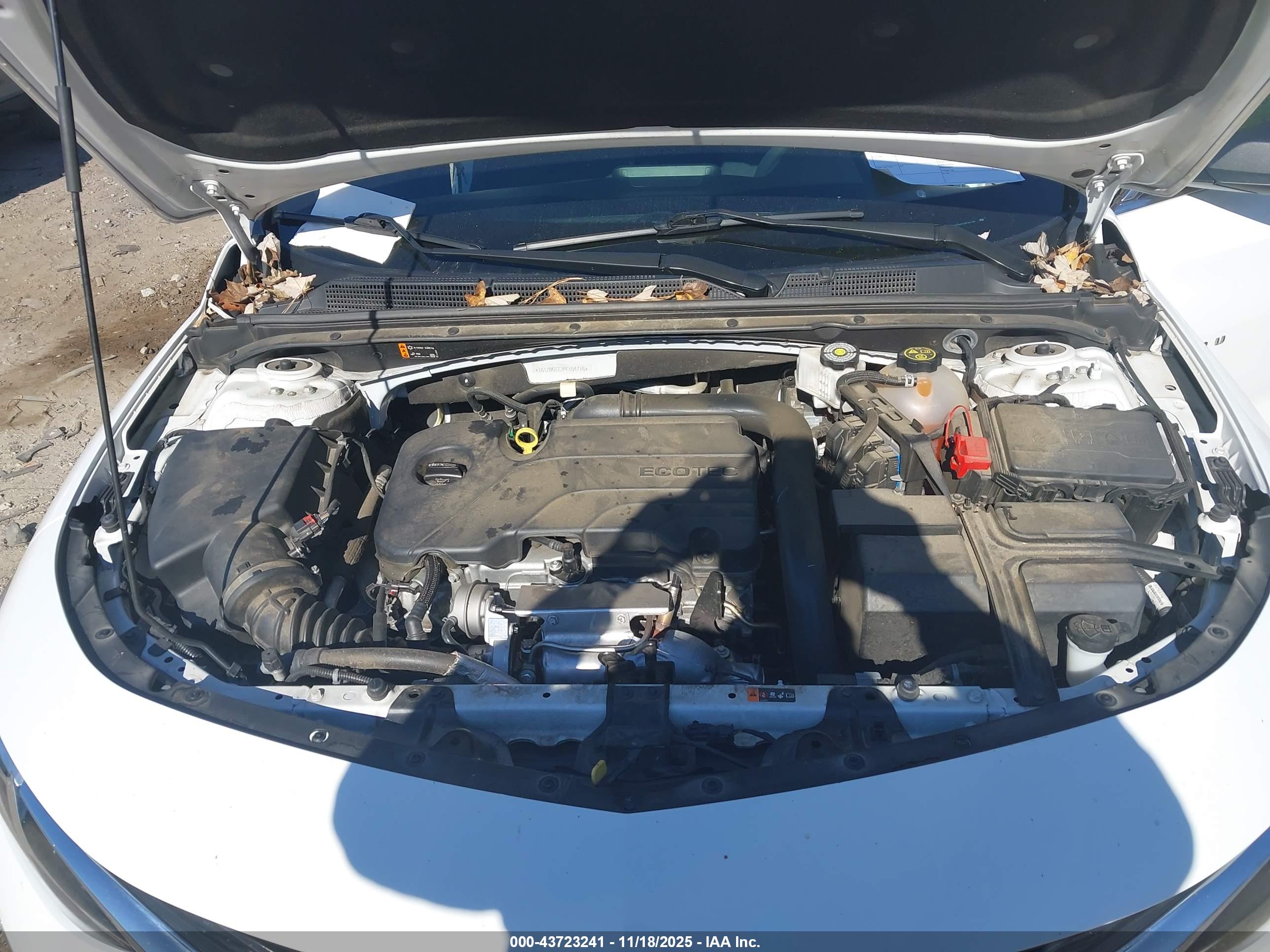 CHEVROLET MALIBU image 10