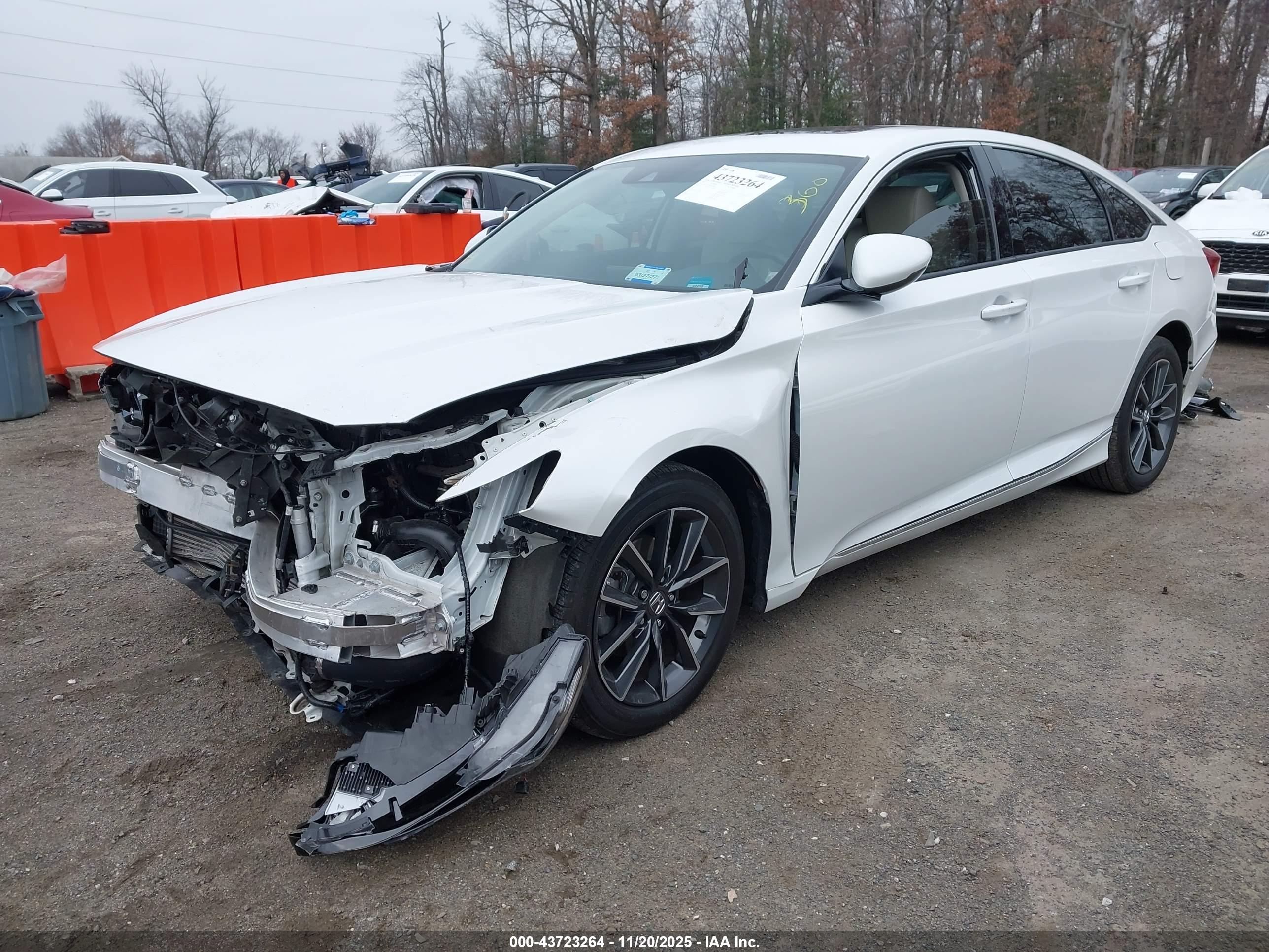 HONDA ACCORD image 2