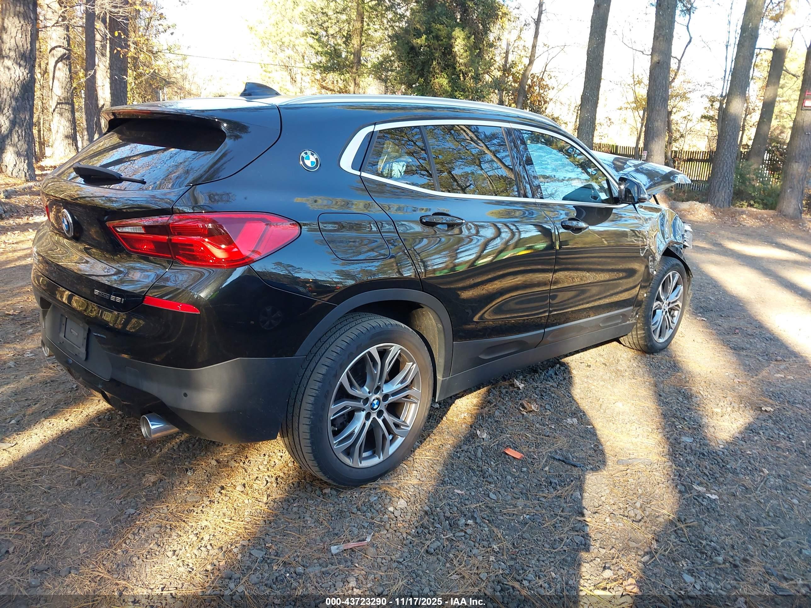BMW X2 image 4