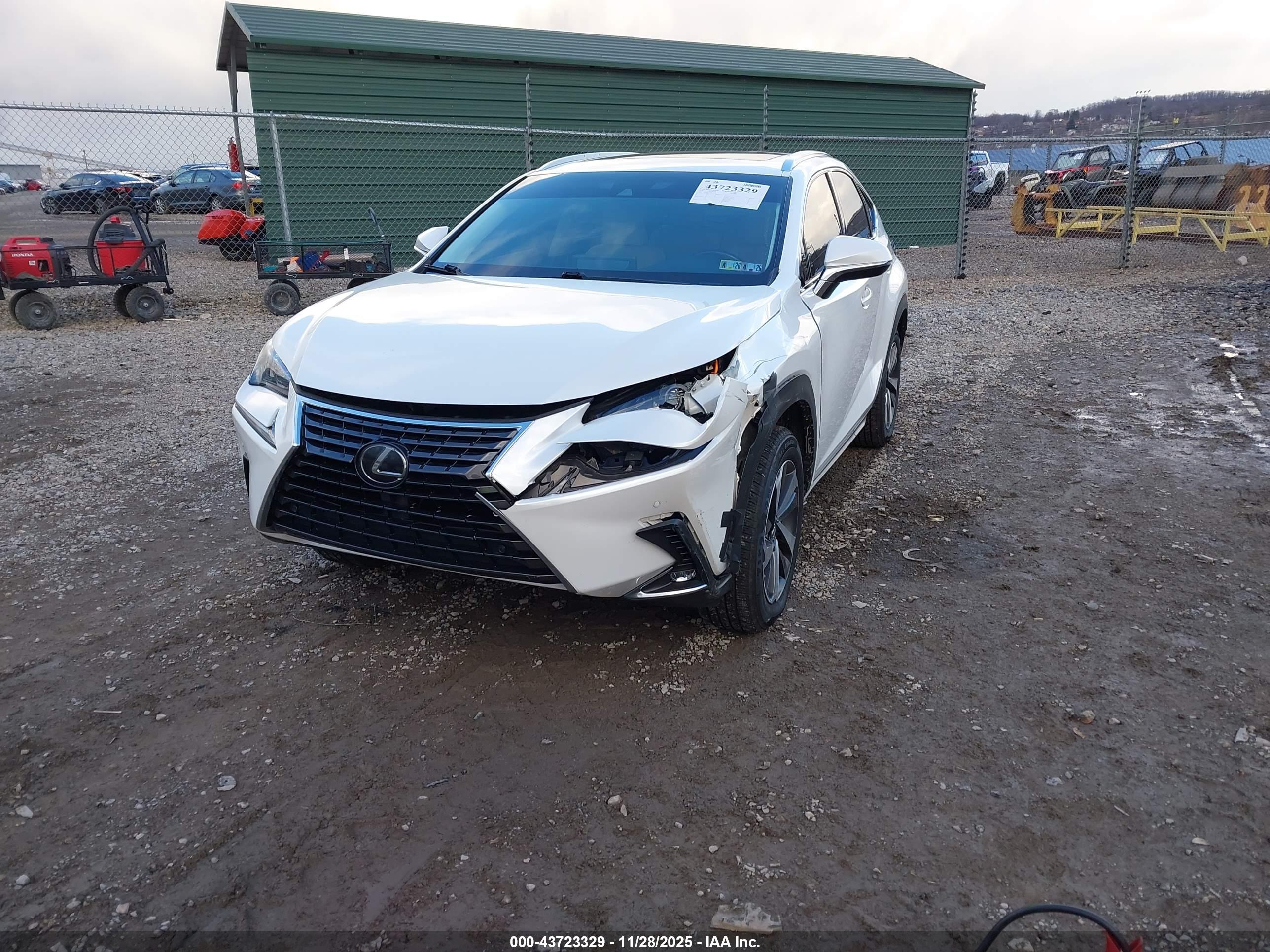 LEXUS NX image 2