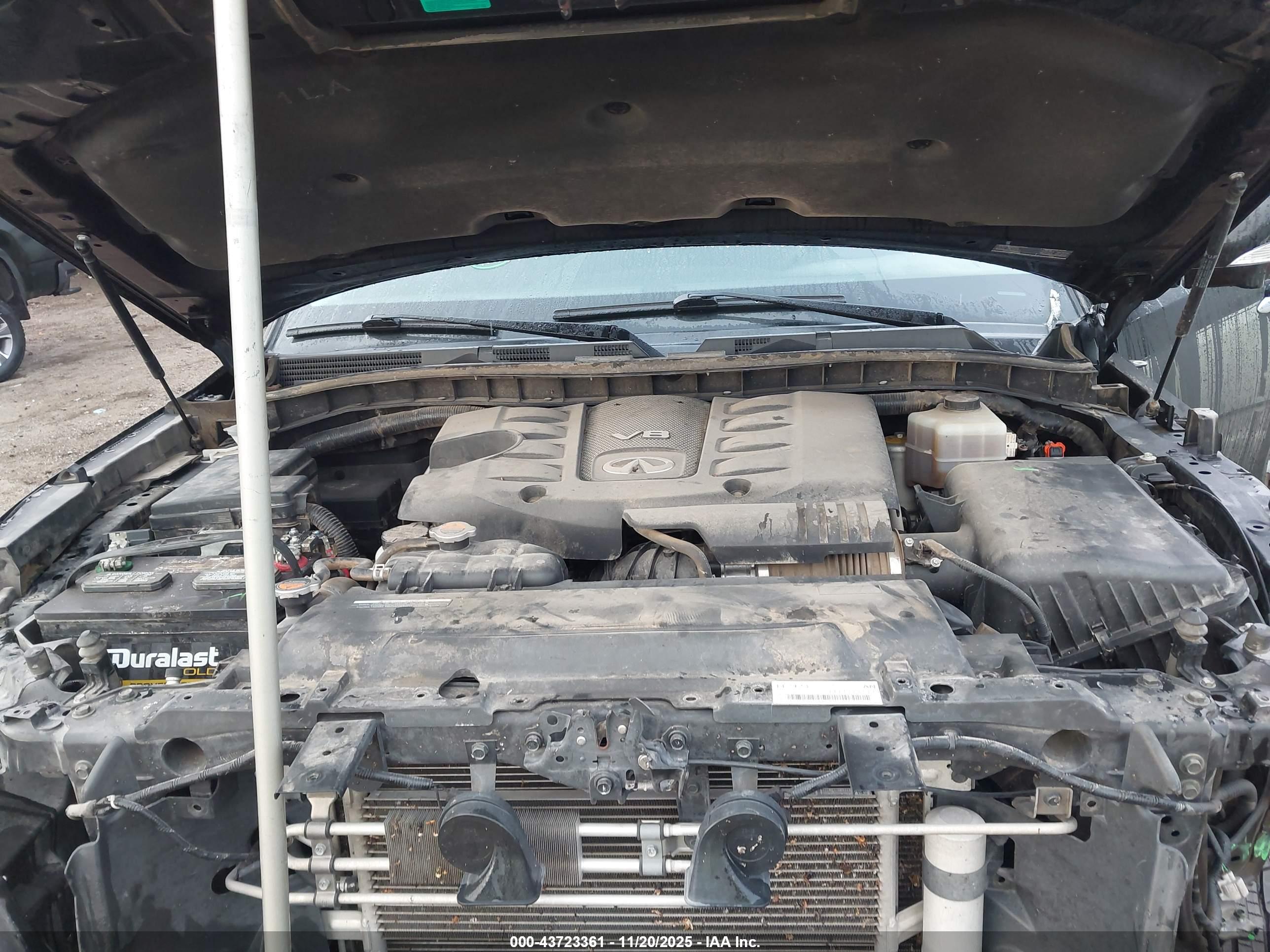 INFINITI QX80 image 10