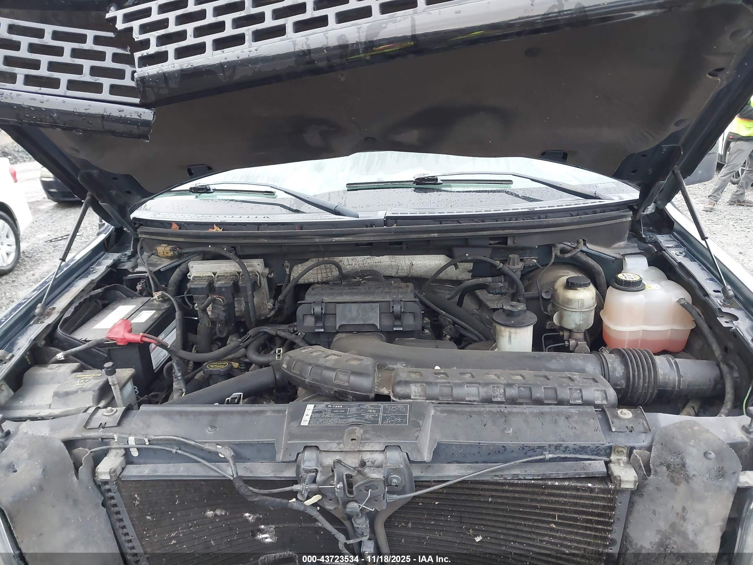 FORD F-150 image 10