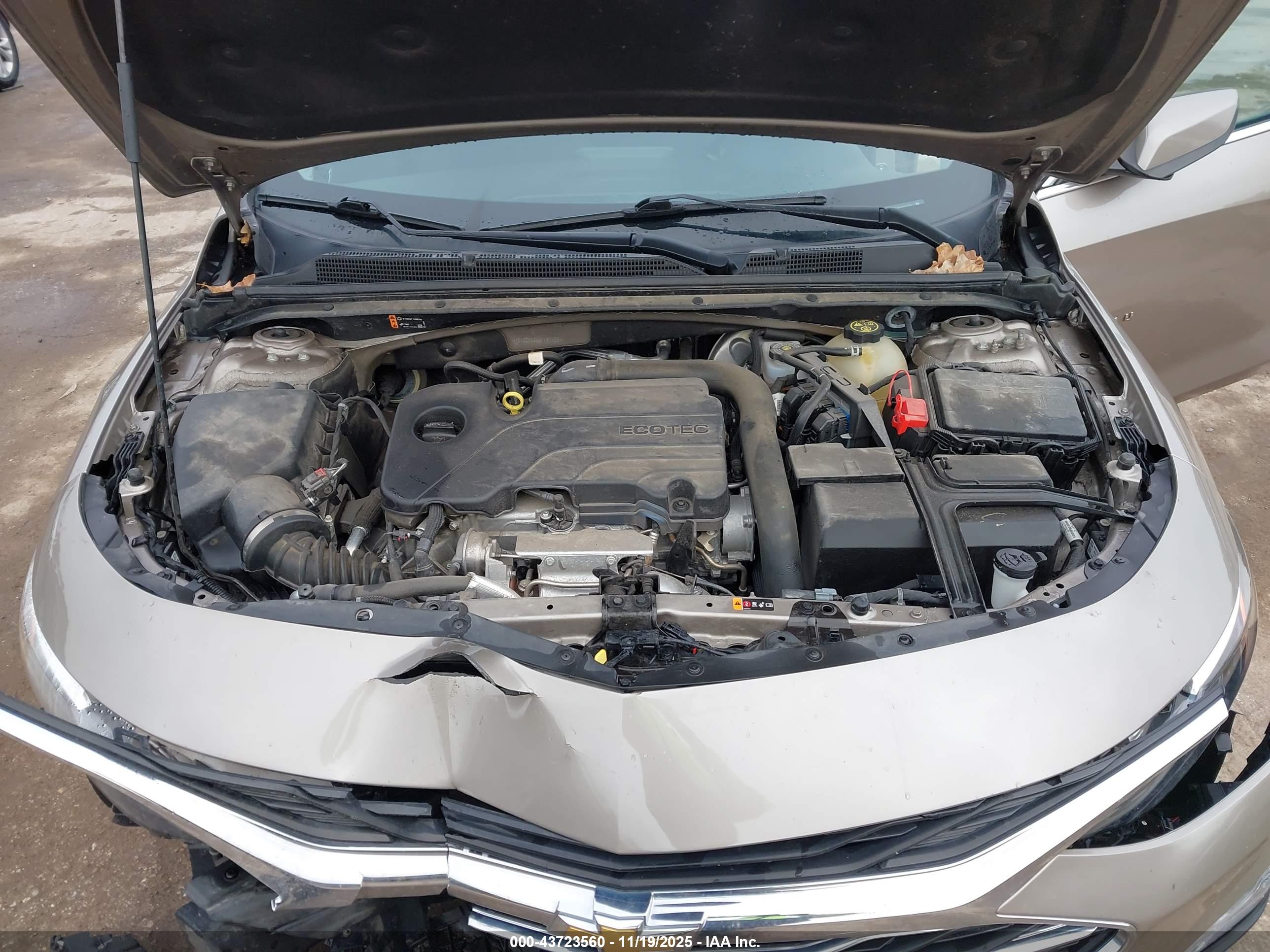 CHEVROLET MALIBU image 10
