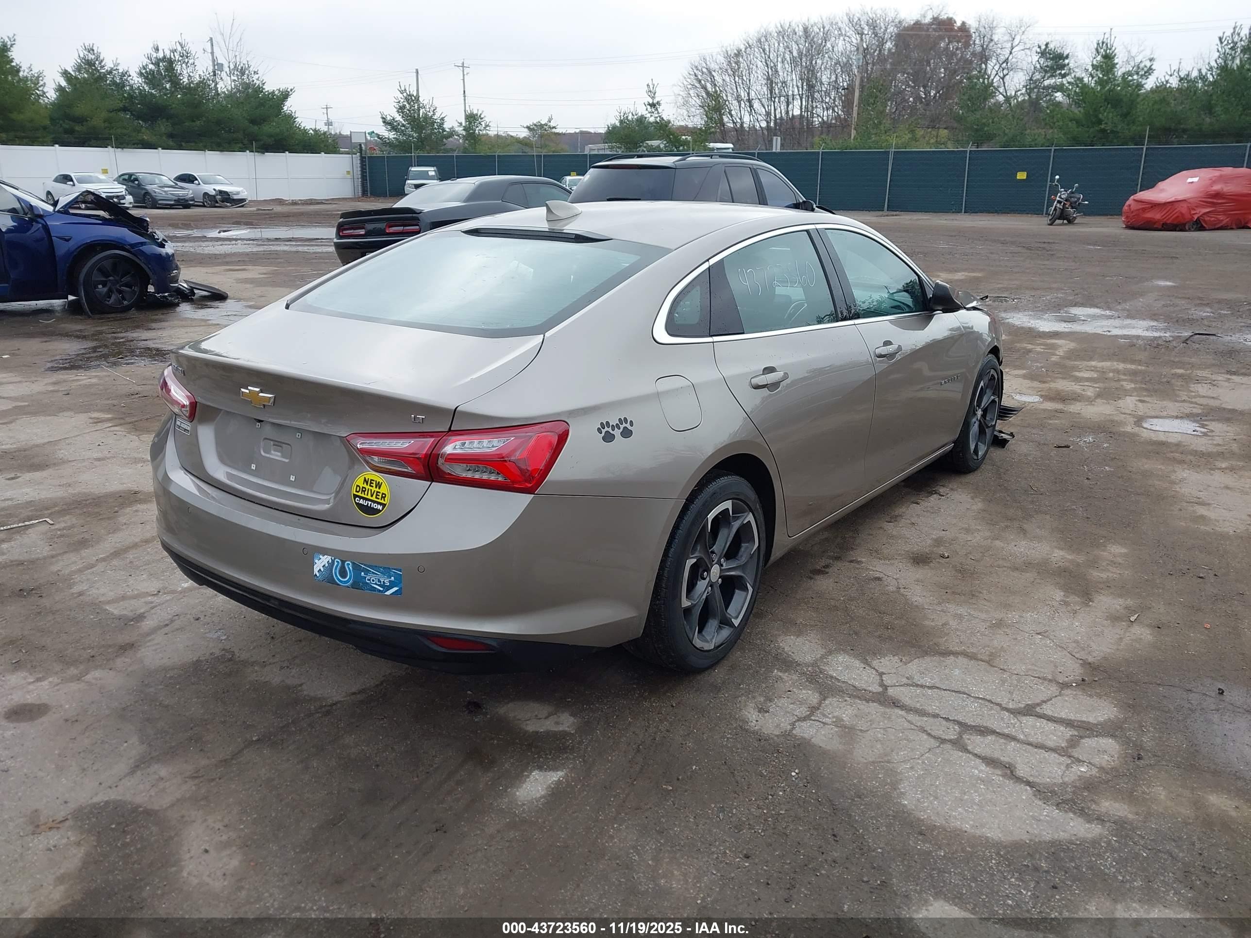 CHEVROLET MALIBU image 4