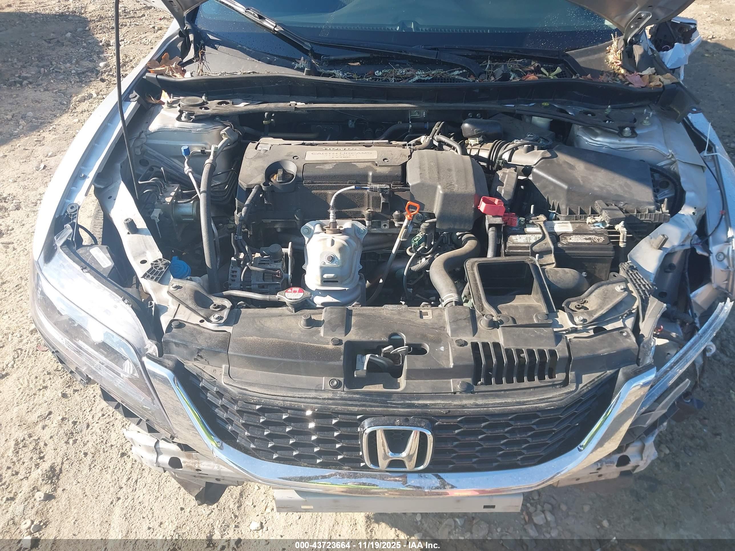 HONDA ACCORD image 10