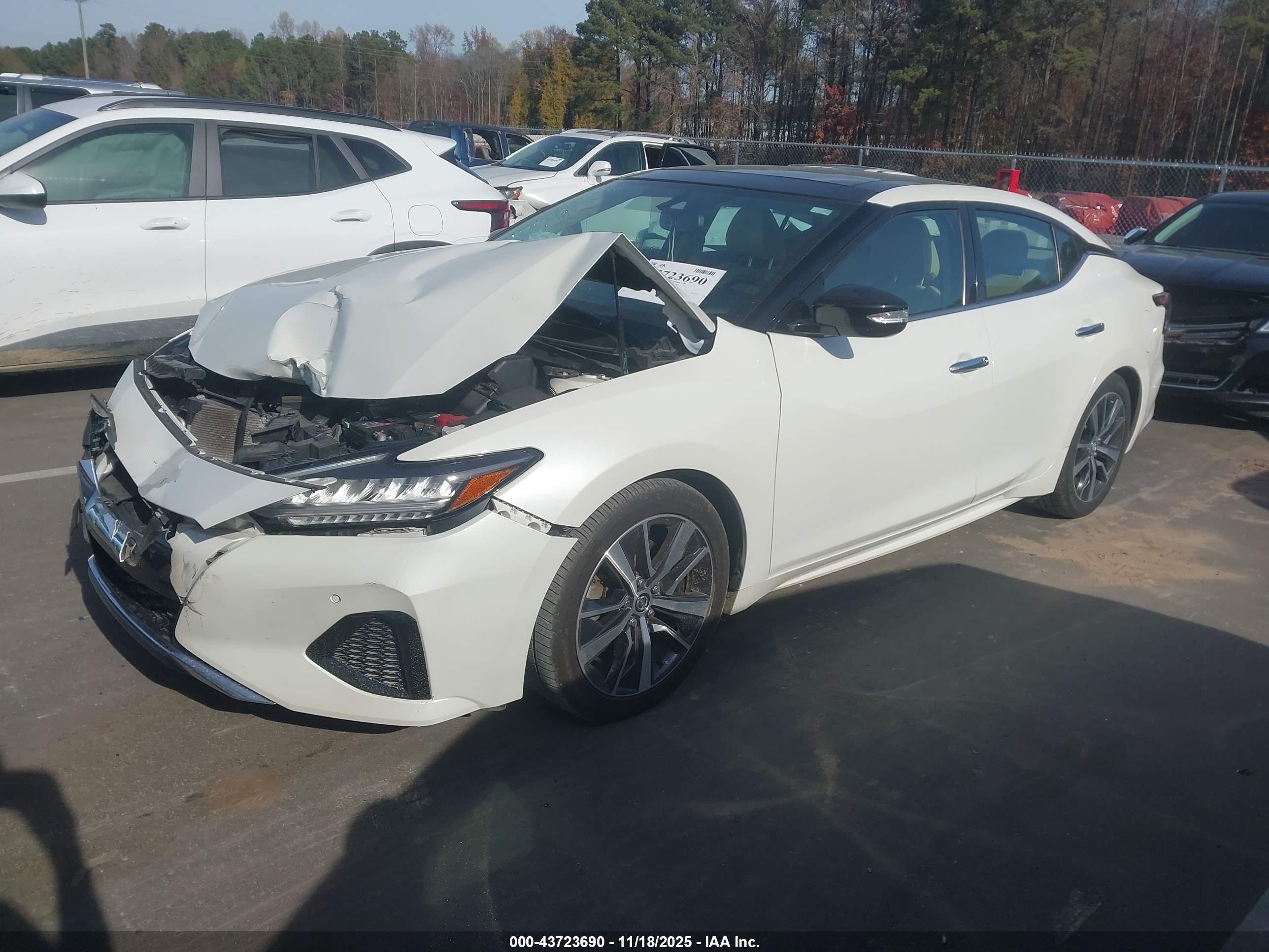 NISSAN MAXIMA image 2