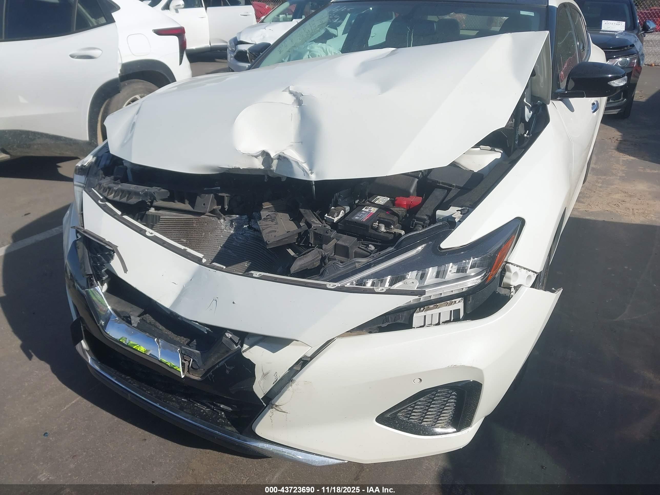 NISSAN MAXIMA image 6
