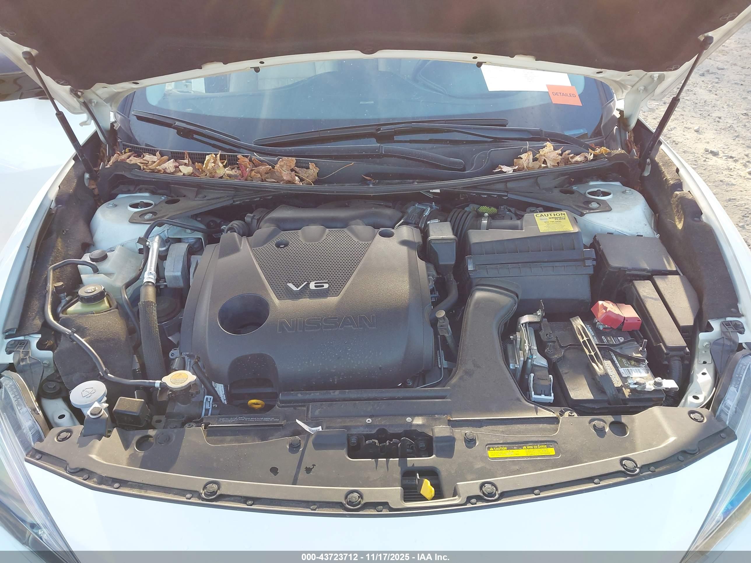 NISSAN MAXIMA image 10