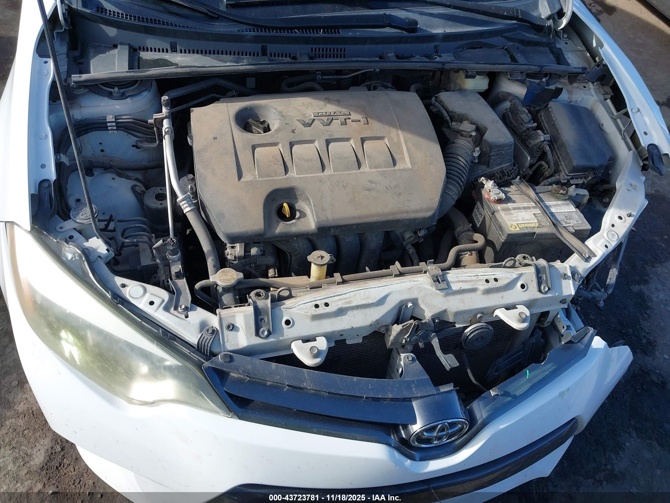 TOYOTA COROLLA image 10