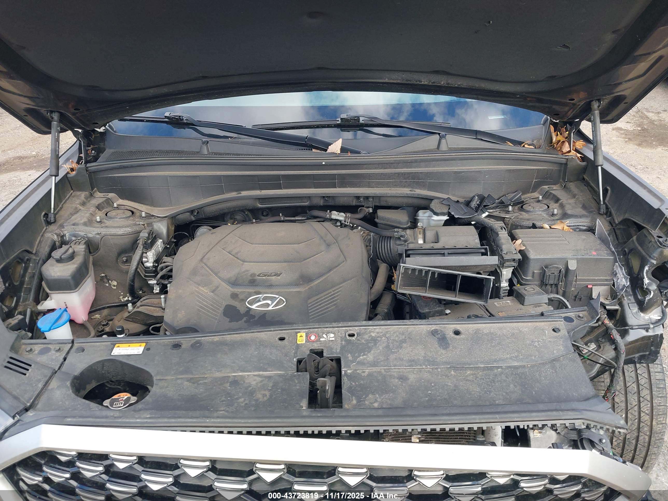 HYUNDAI PALISADE image 10