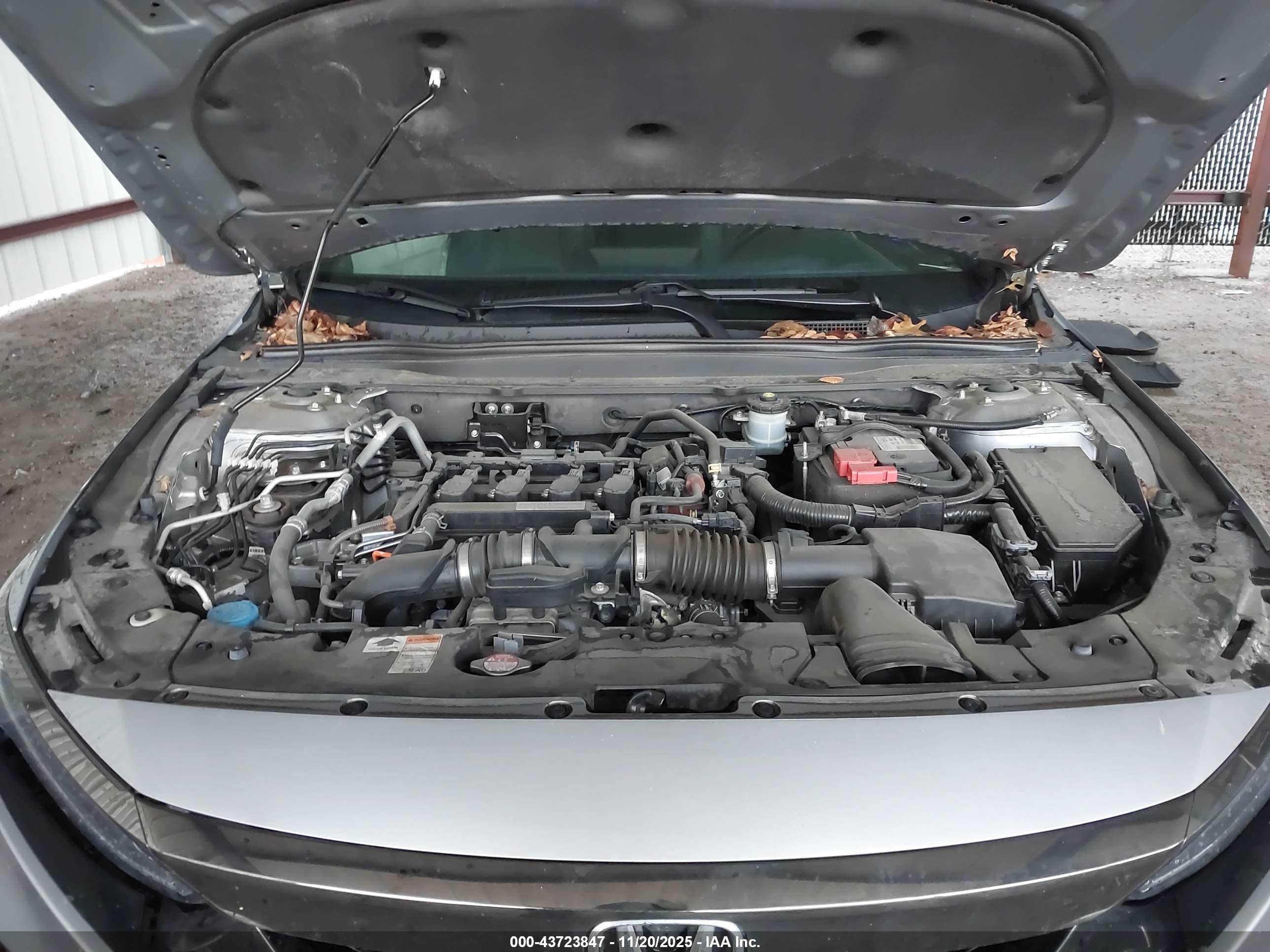 HONDA ACCORD image 10