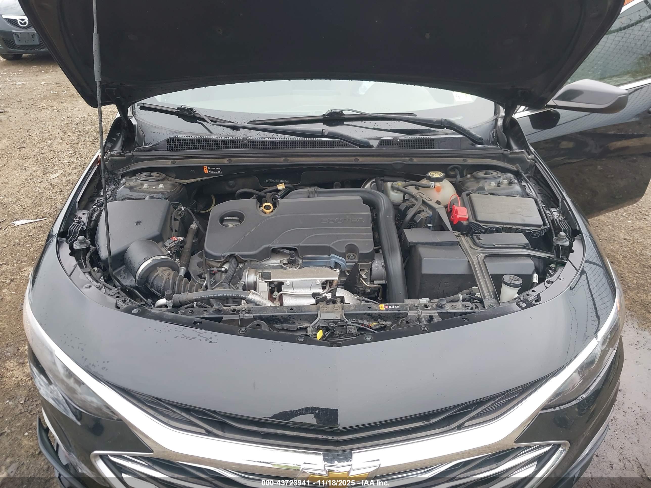 CHEVROLET MALIBU image 10