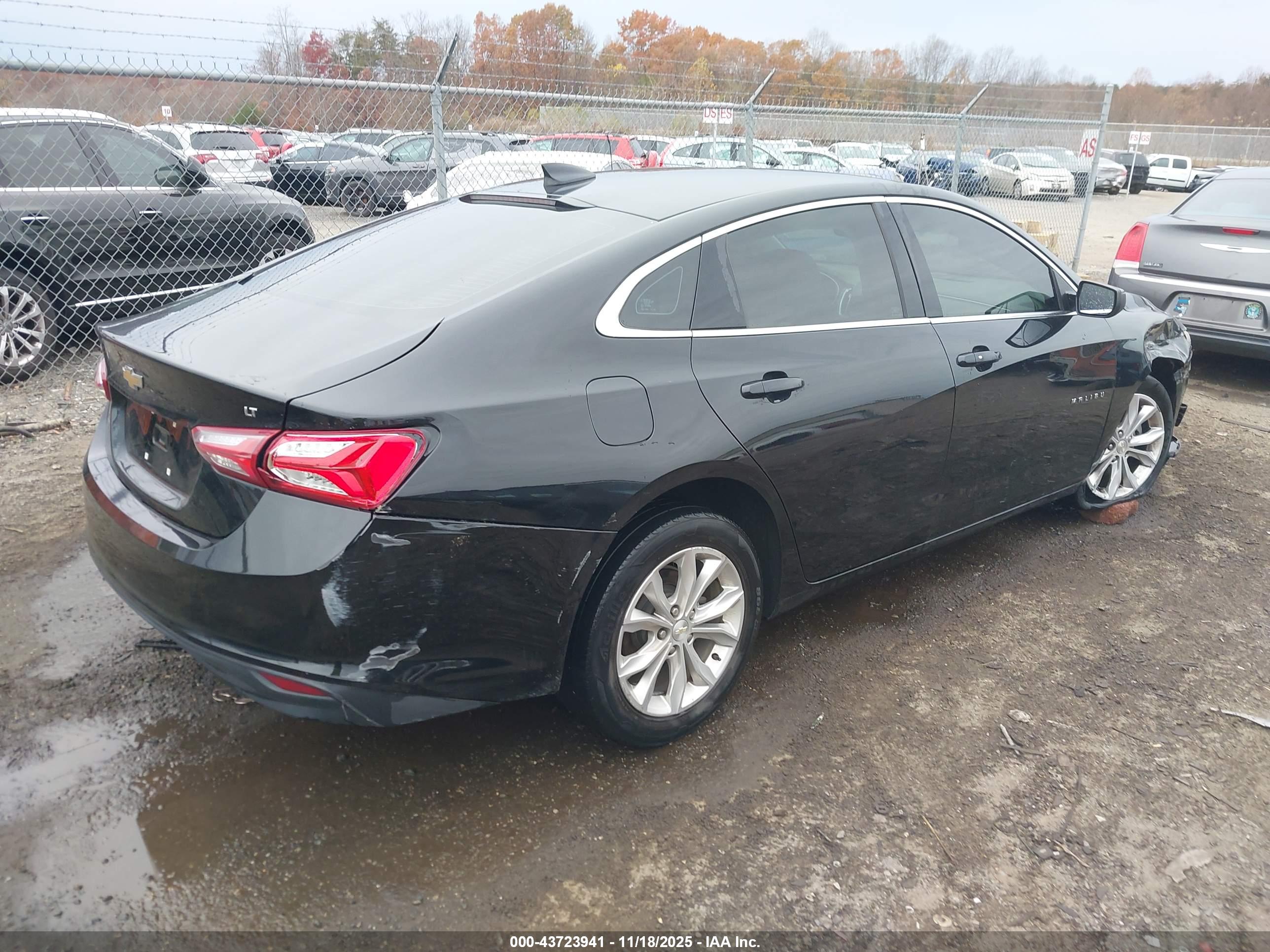CHEVROLET MALIBU image 4