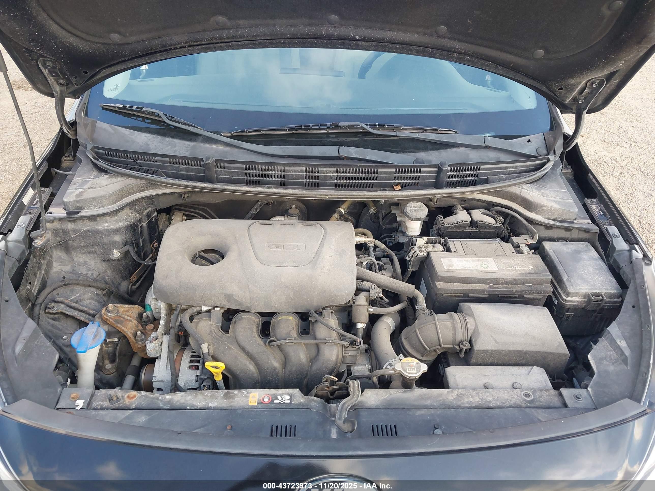 KIA RIO image 10