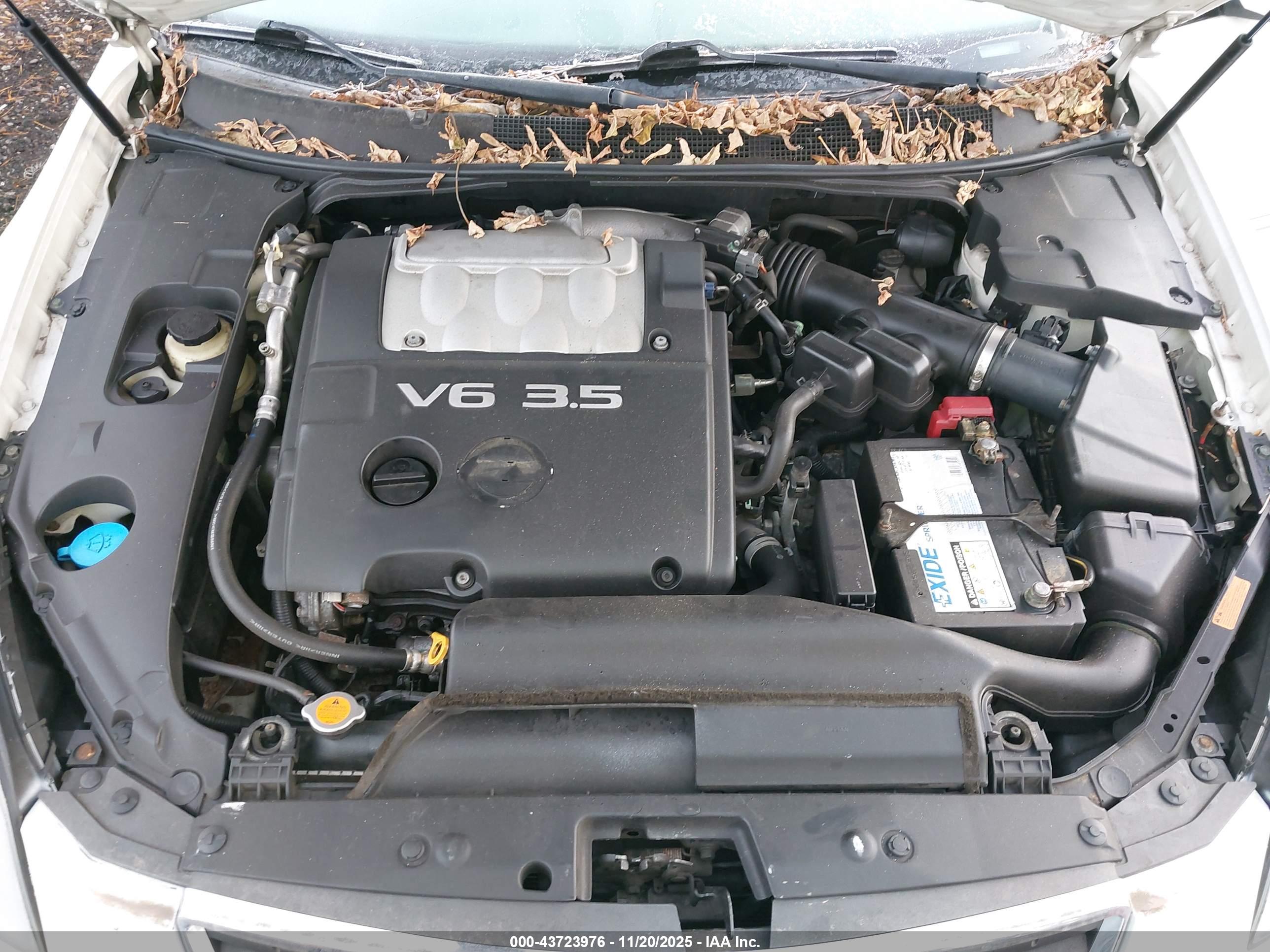 NISSAN MAXIMA image 10