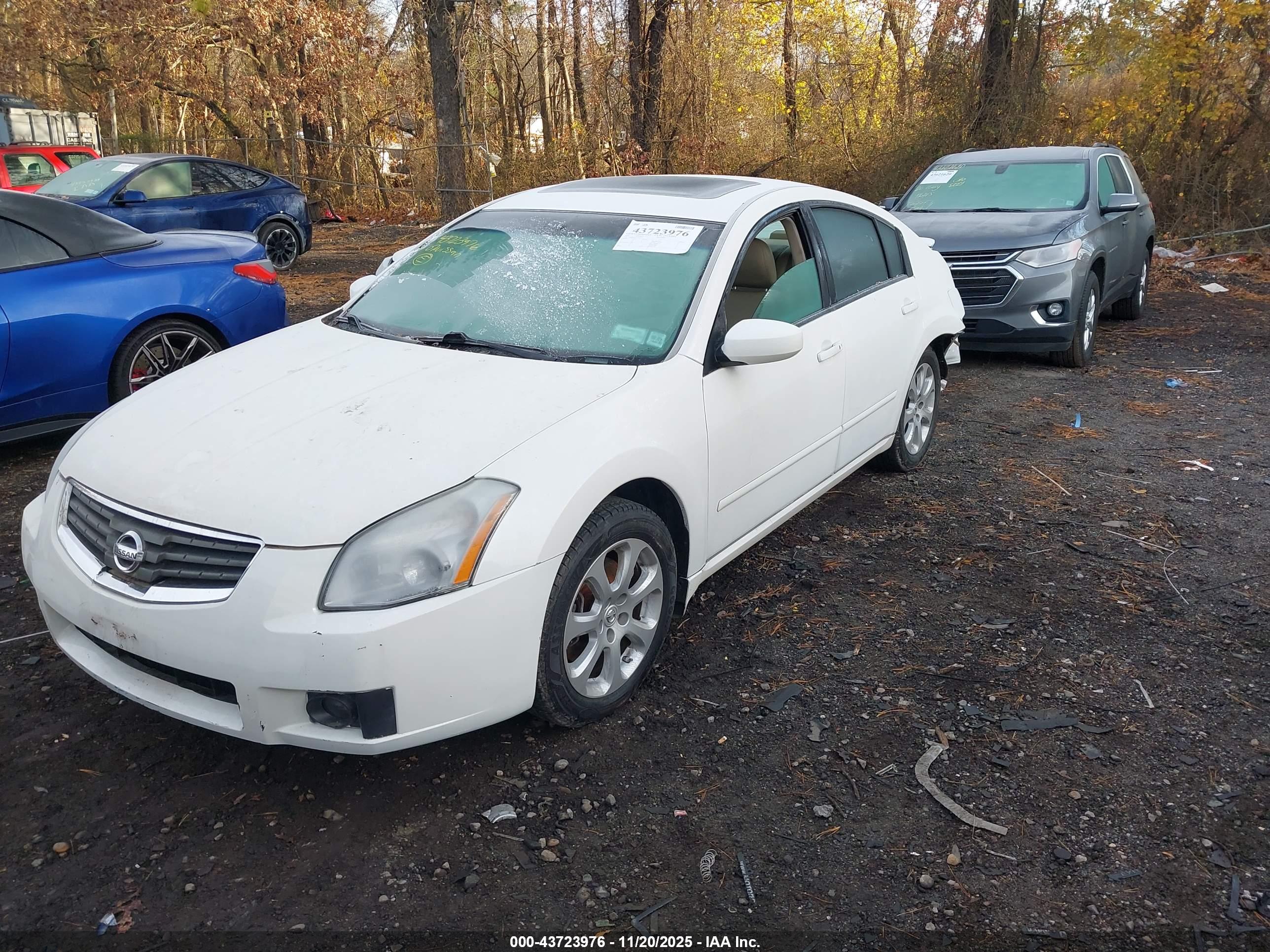 NISSAN MAXIMA image 2