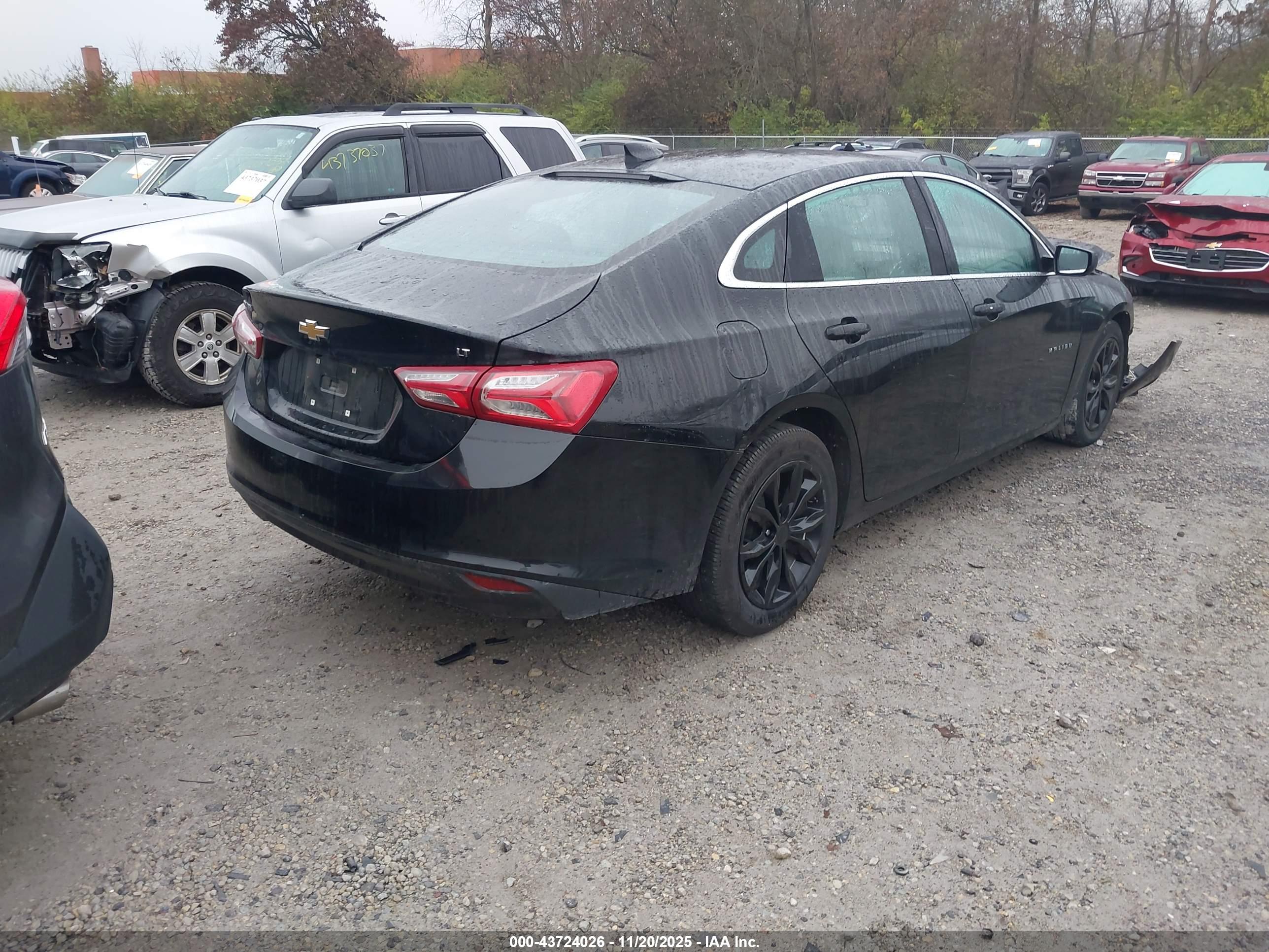 CHEVROLET MALIBU image 4