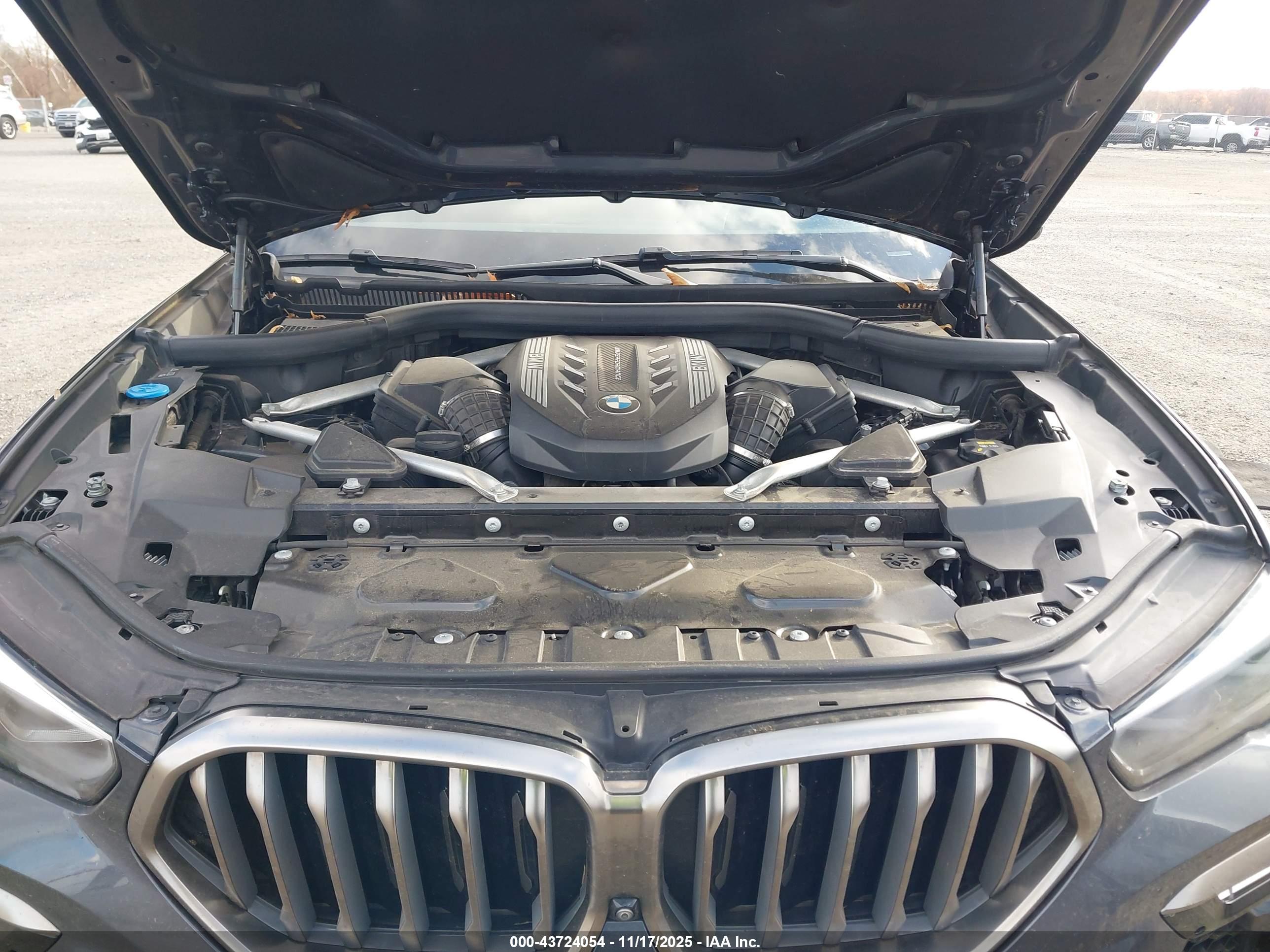 BMW X6 image 10