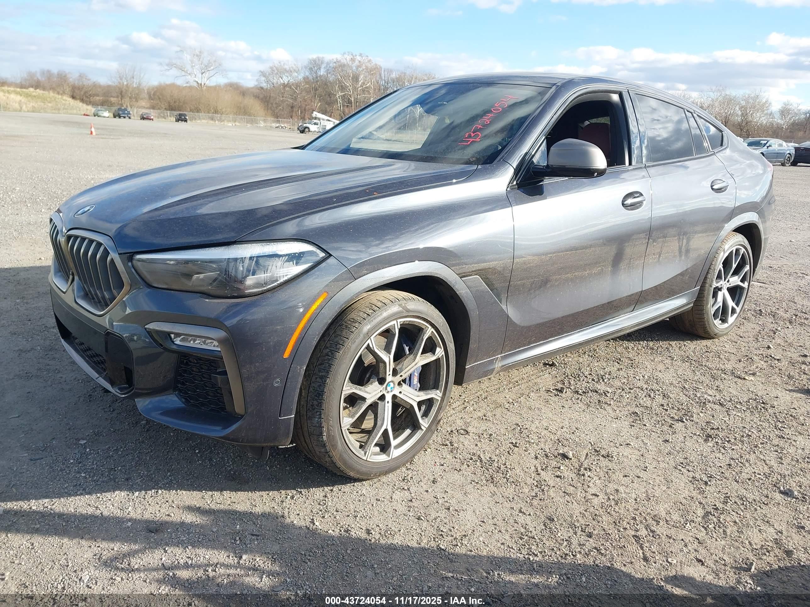 BMW X6 image 2