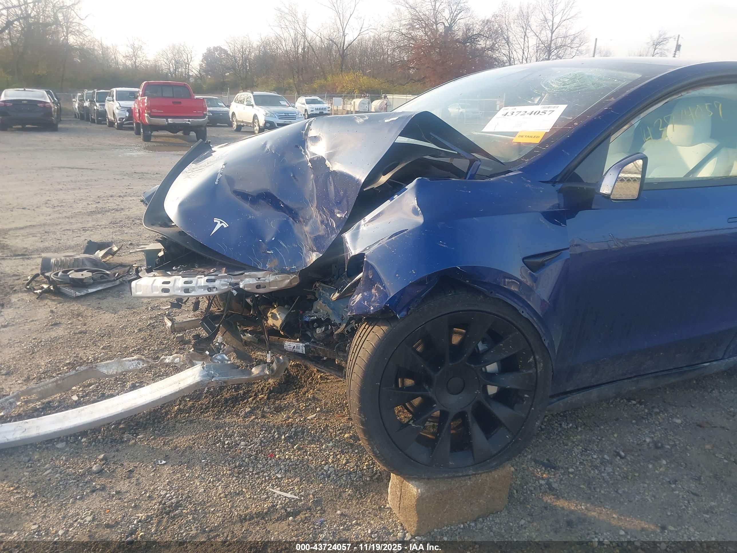 TESLA MODEL image 6