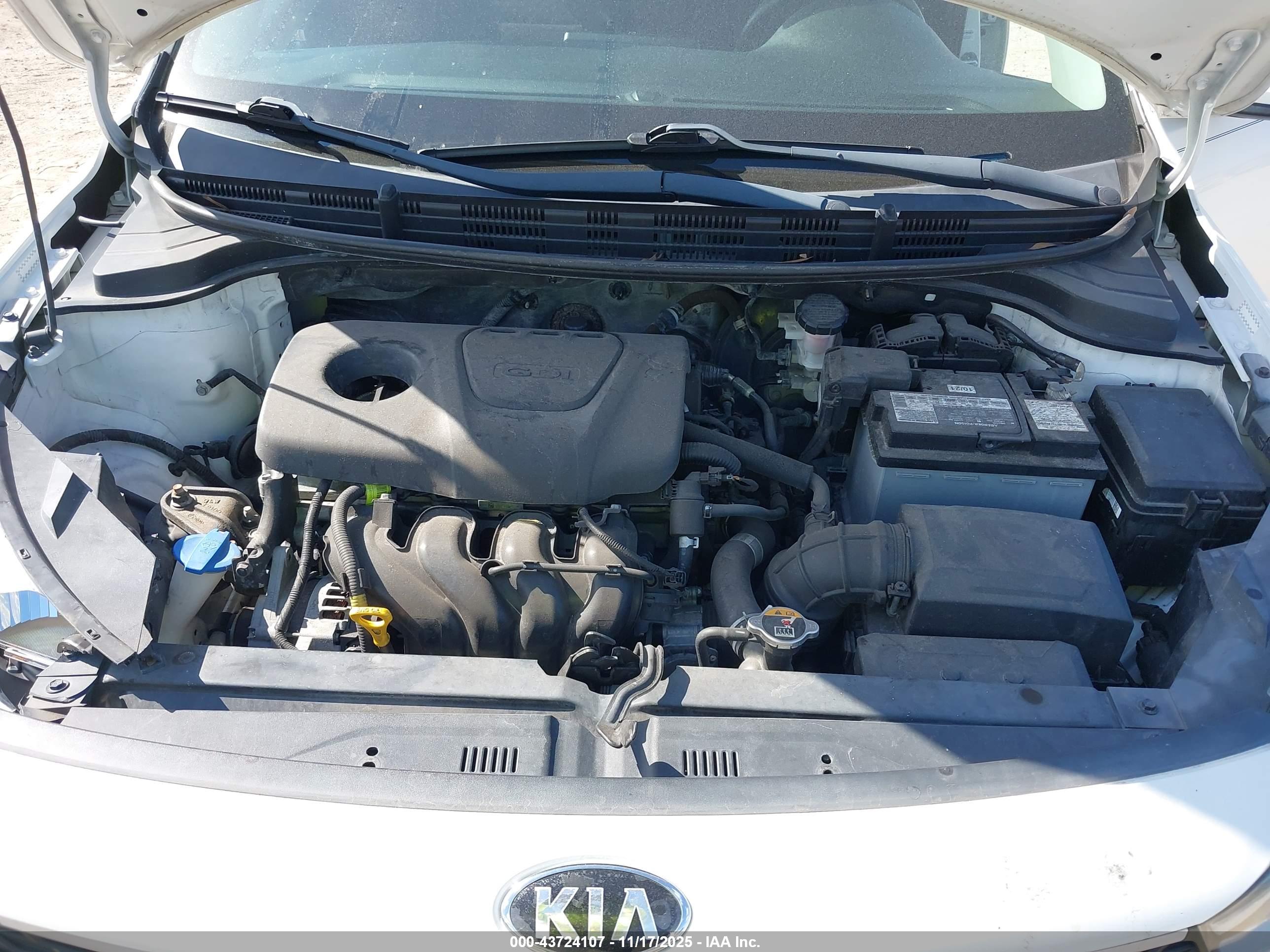KIA RIO image 10
