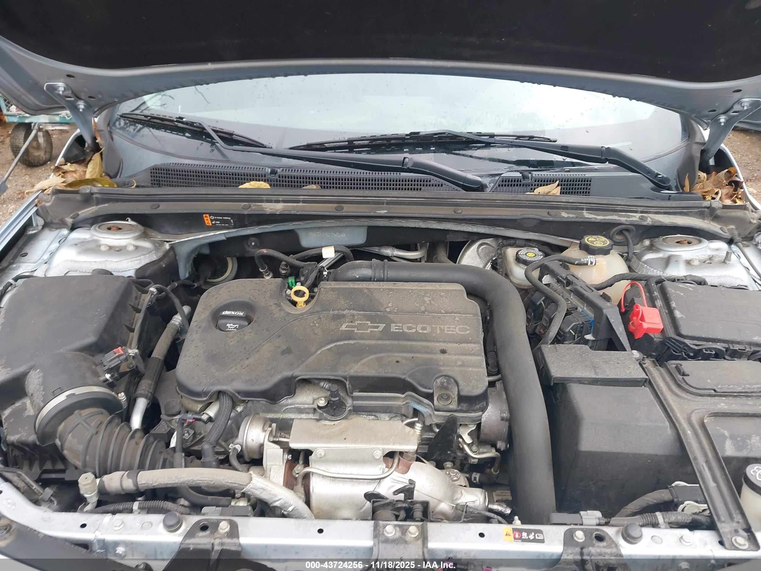 CHEVROLET MALIBU image 10