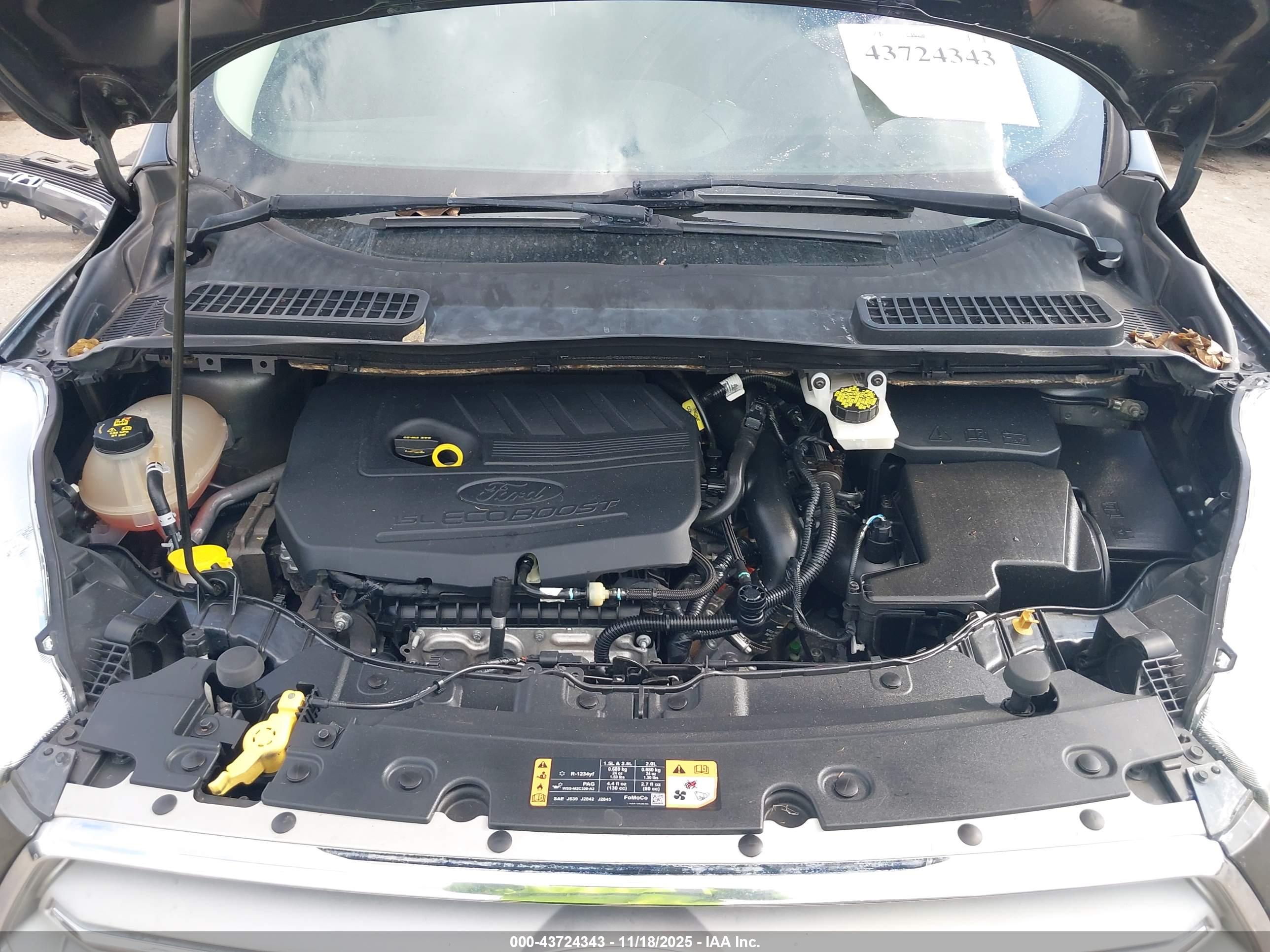 FORD ESCAPE image 10