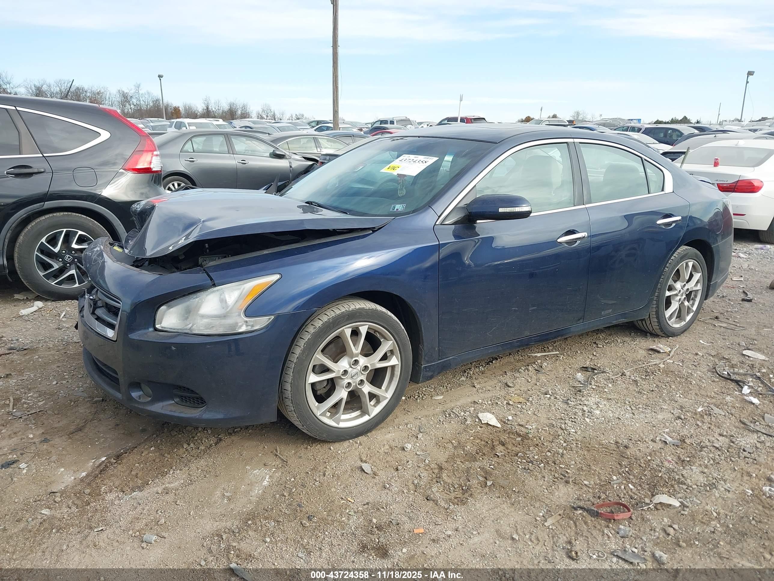 NISSAN MAXIMA image 2
