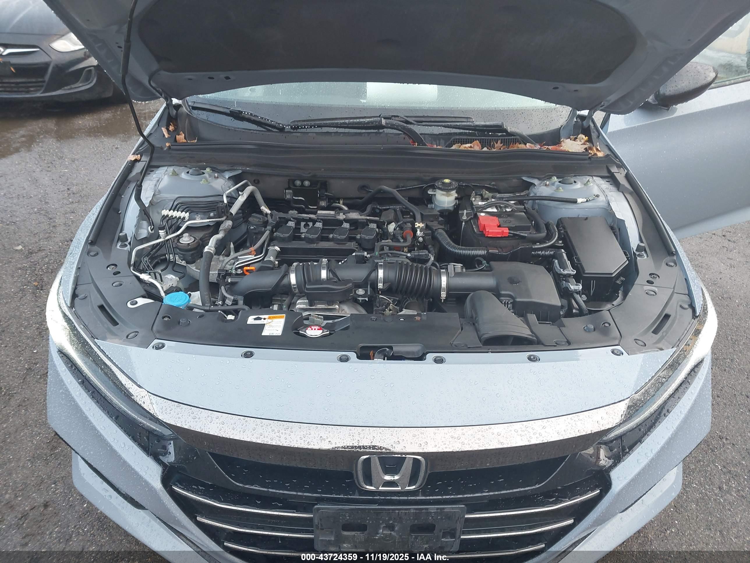 HONDA ACCORD image 10