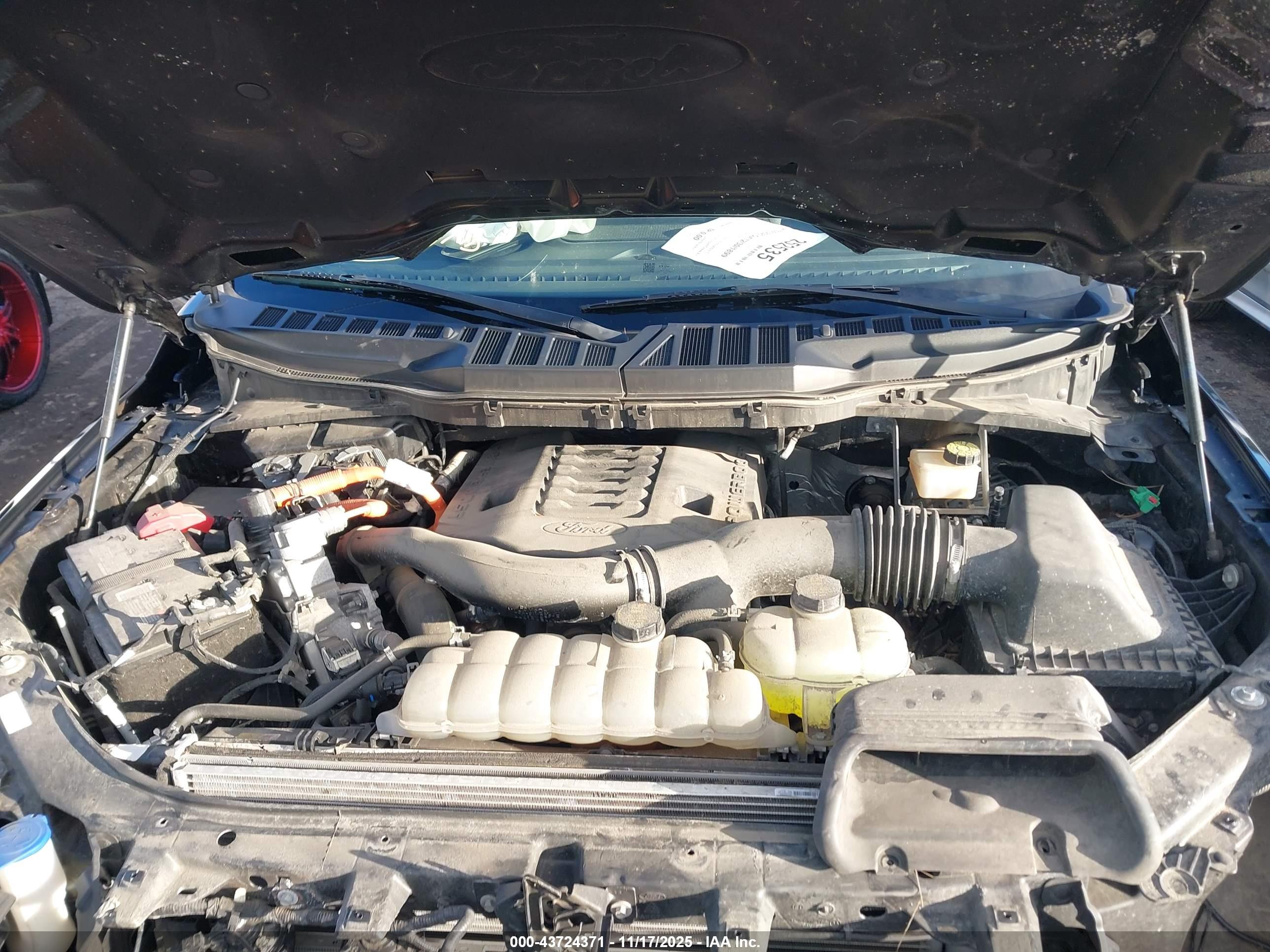 FORD F-150 image 10