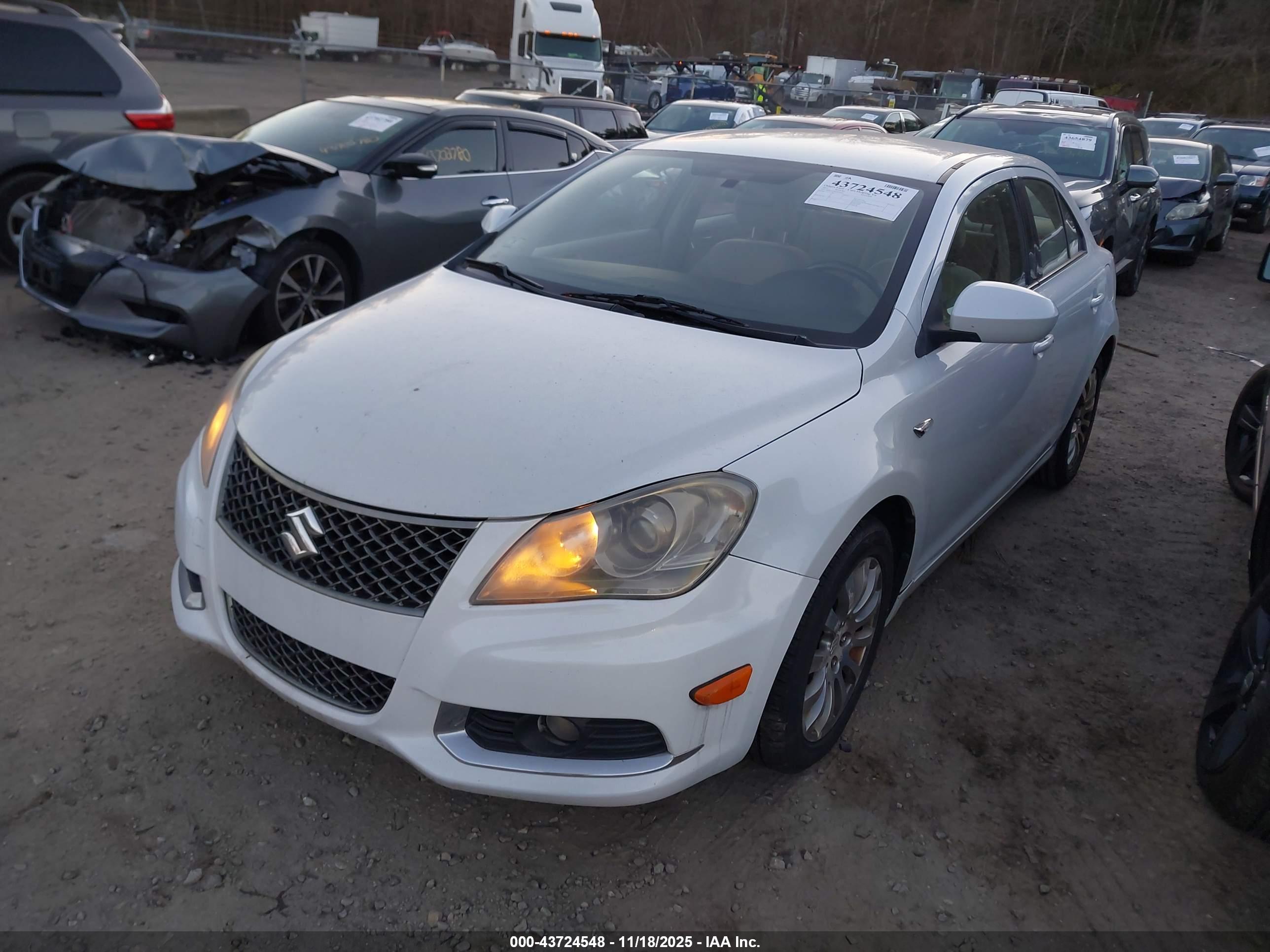 SUZUKI KIZASHI image 2