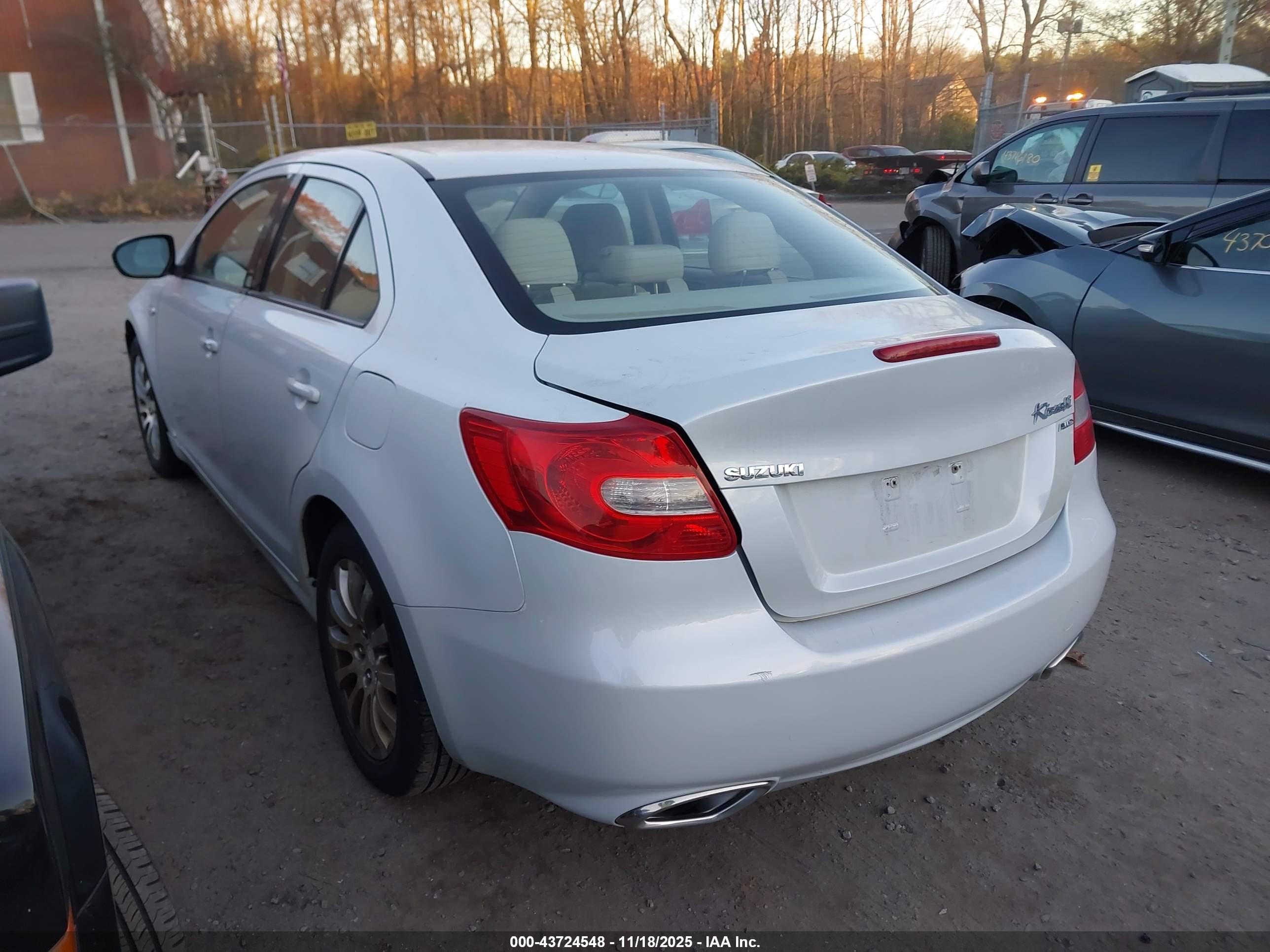 SUZUKI KIZASHI image 3