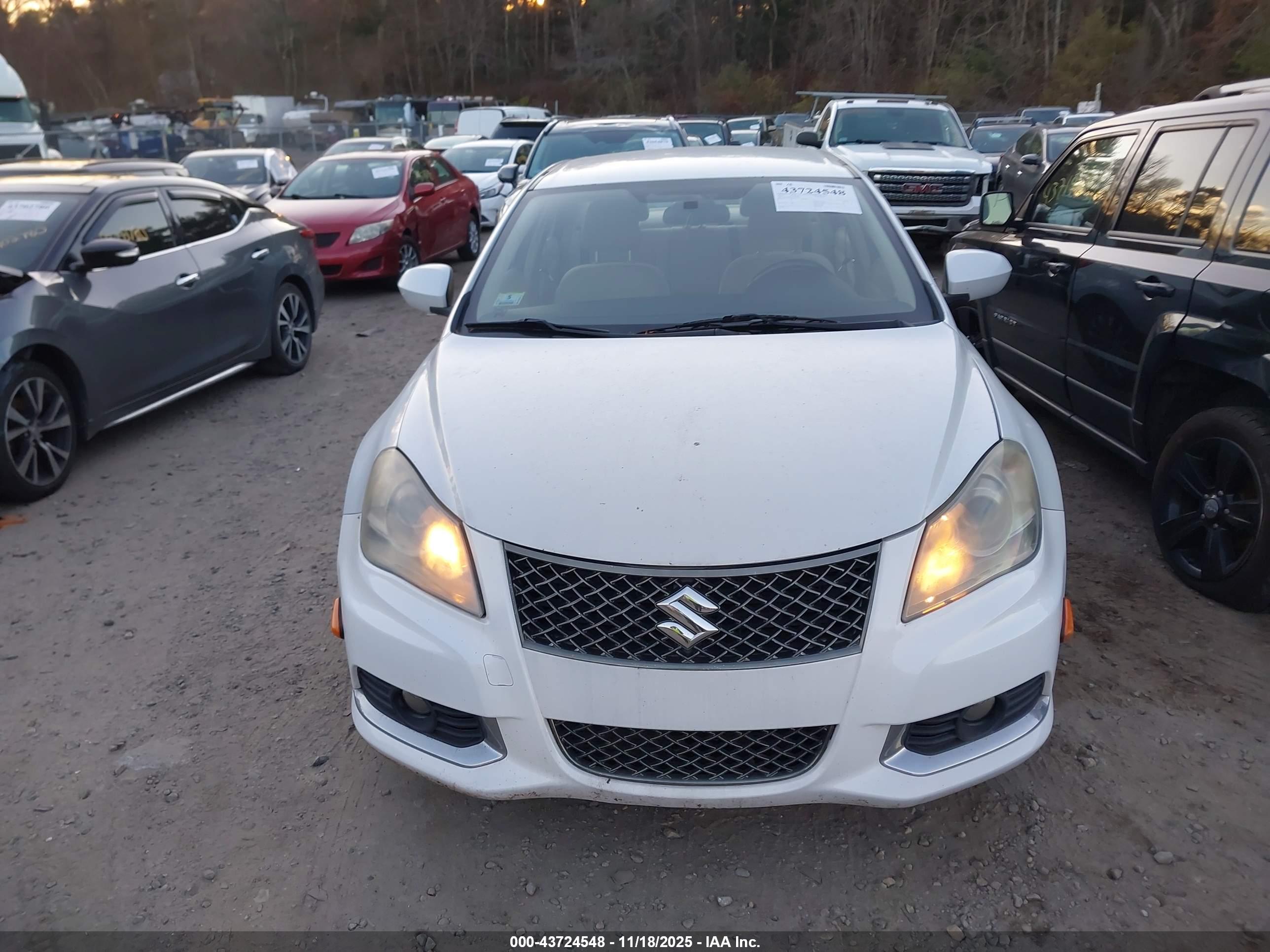 SUZUKI KIZASHI image 6
