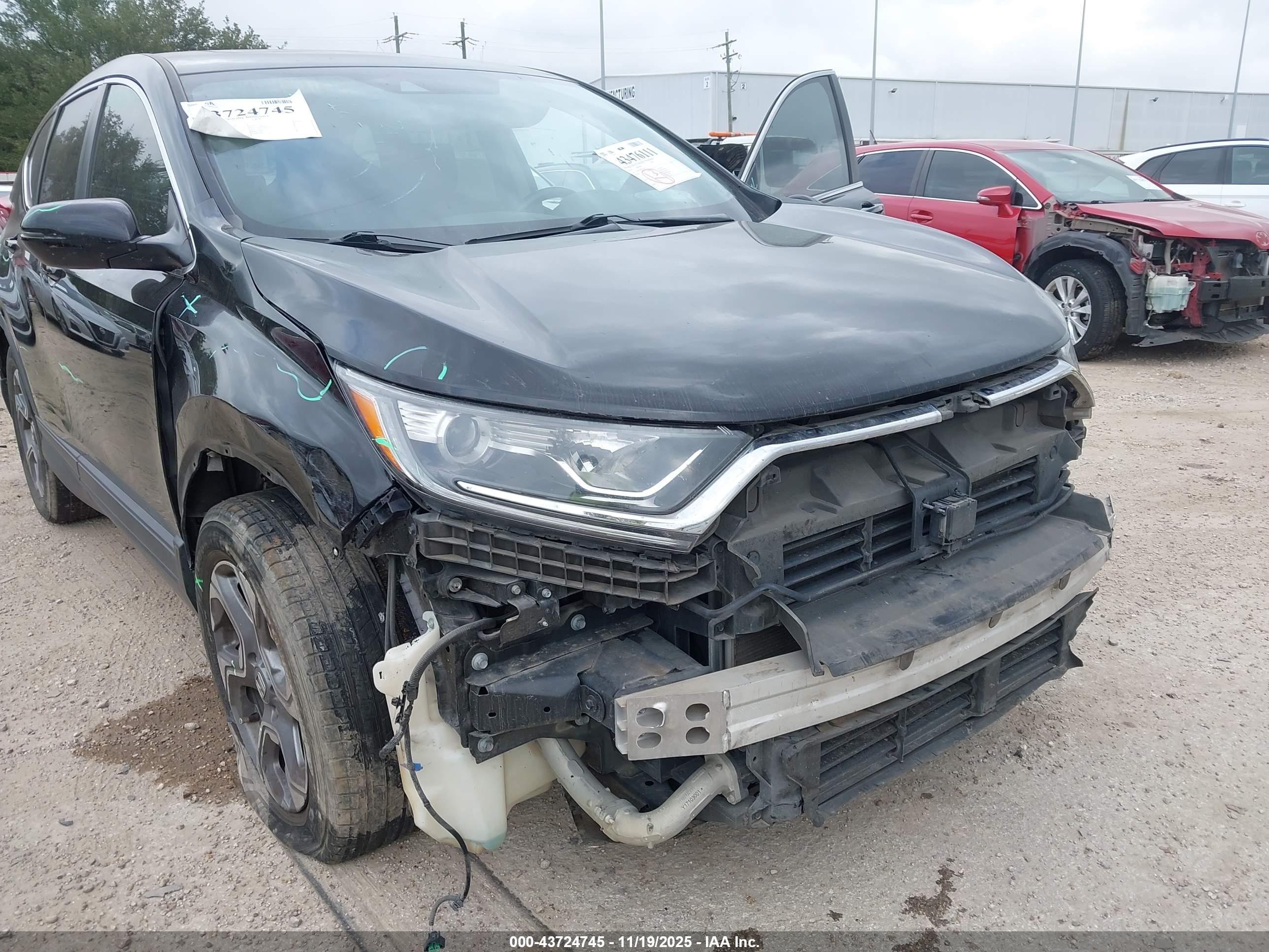 HONDA CR-V image 6