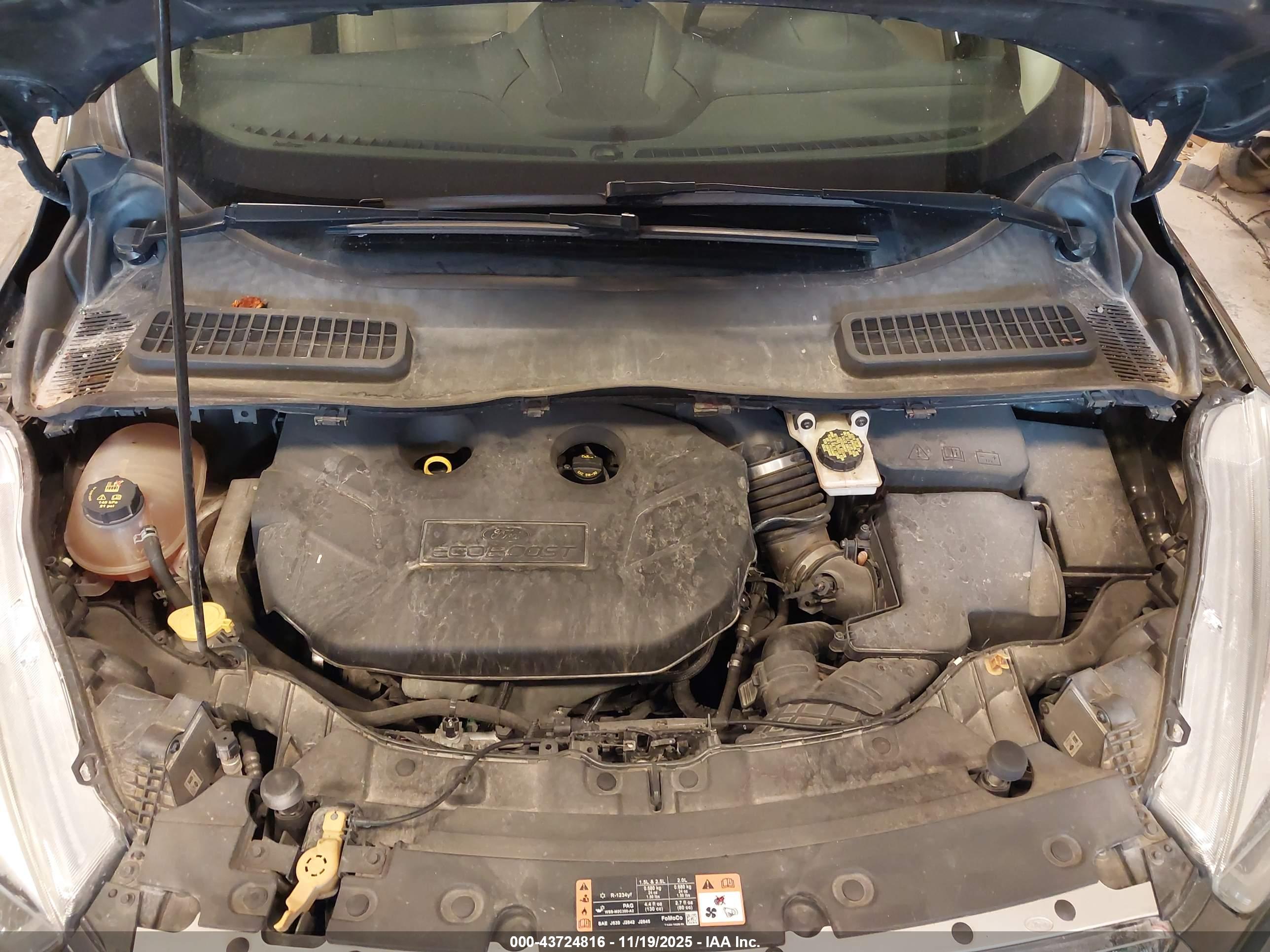FORD ESCAPE image 10