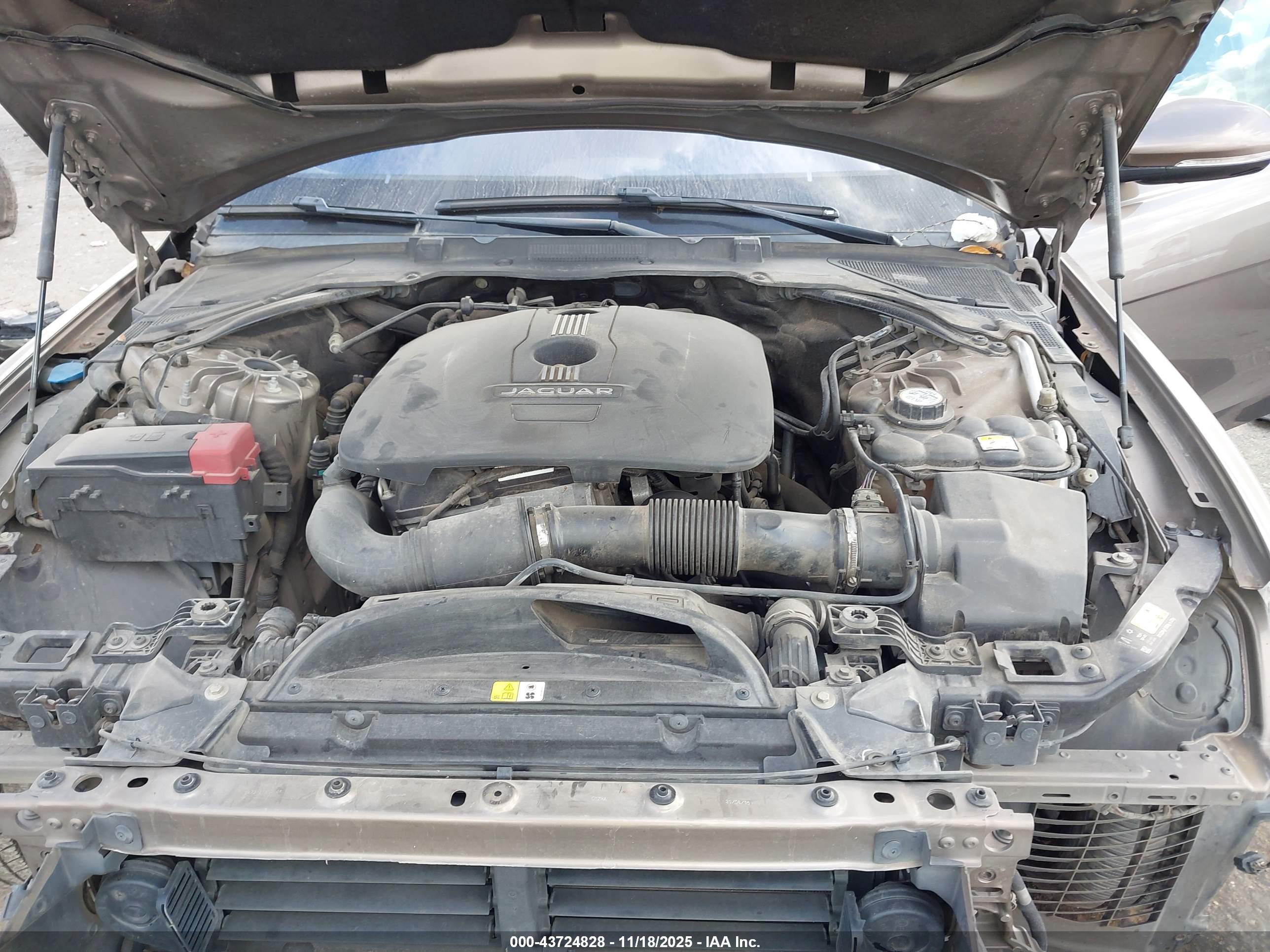 JAGUAR XE image 10