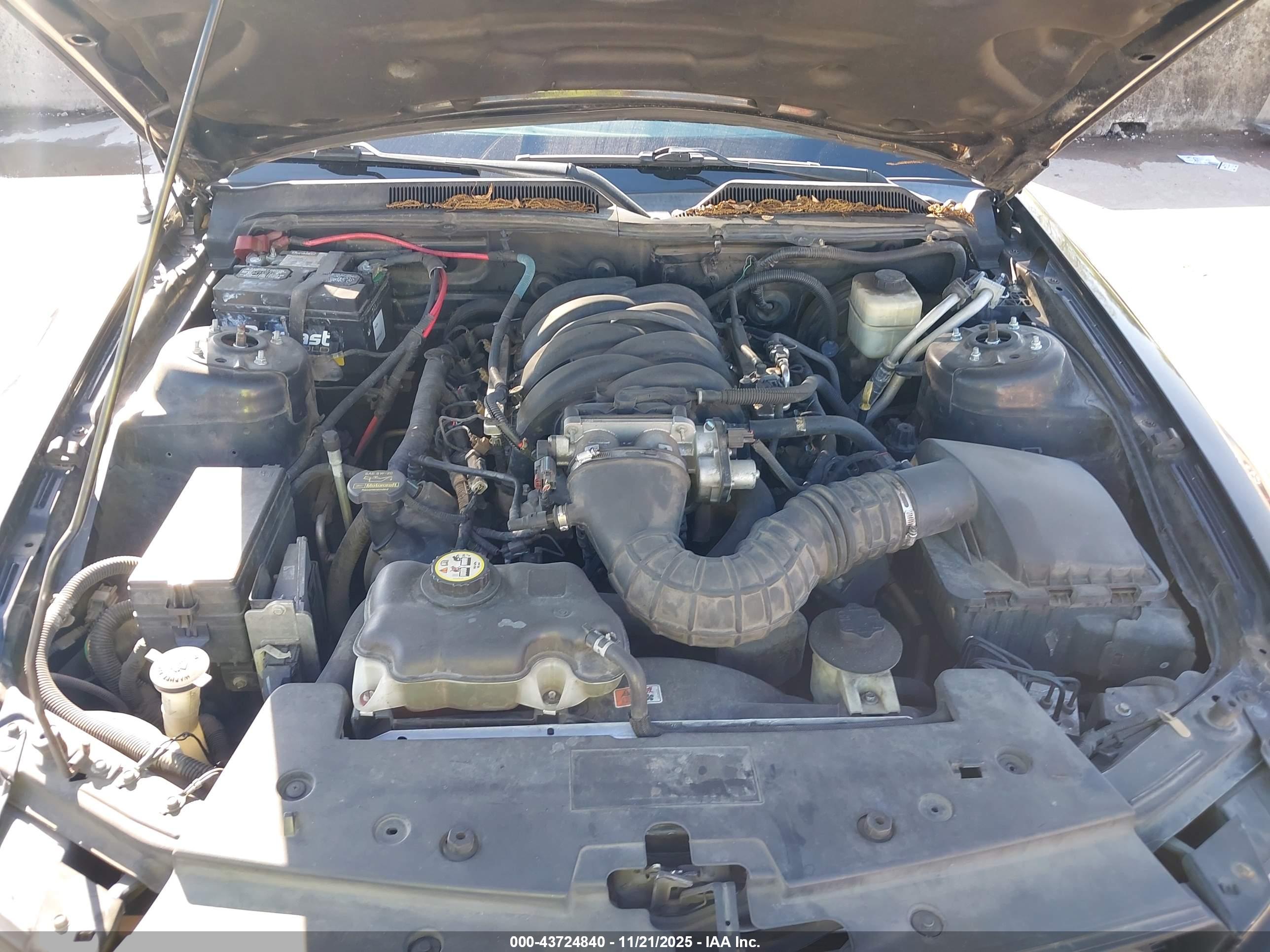 FORD MUSTANG image 10