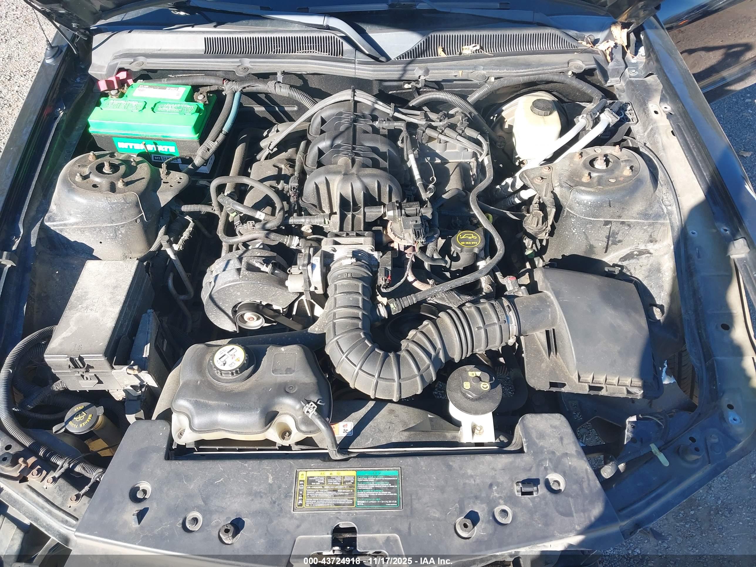 FORD MUSTANG image 10