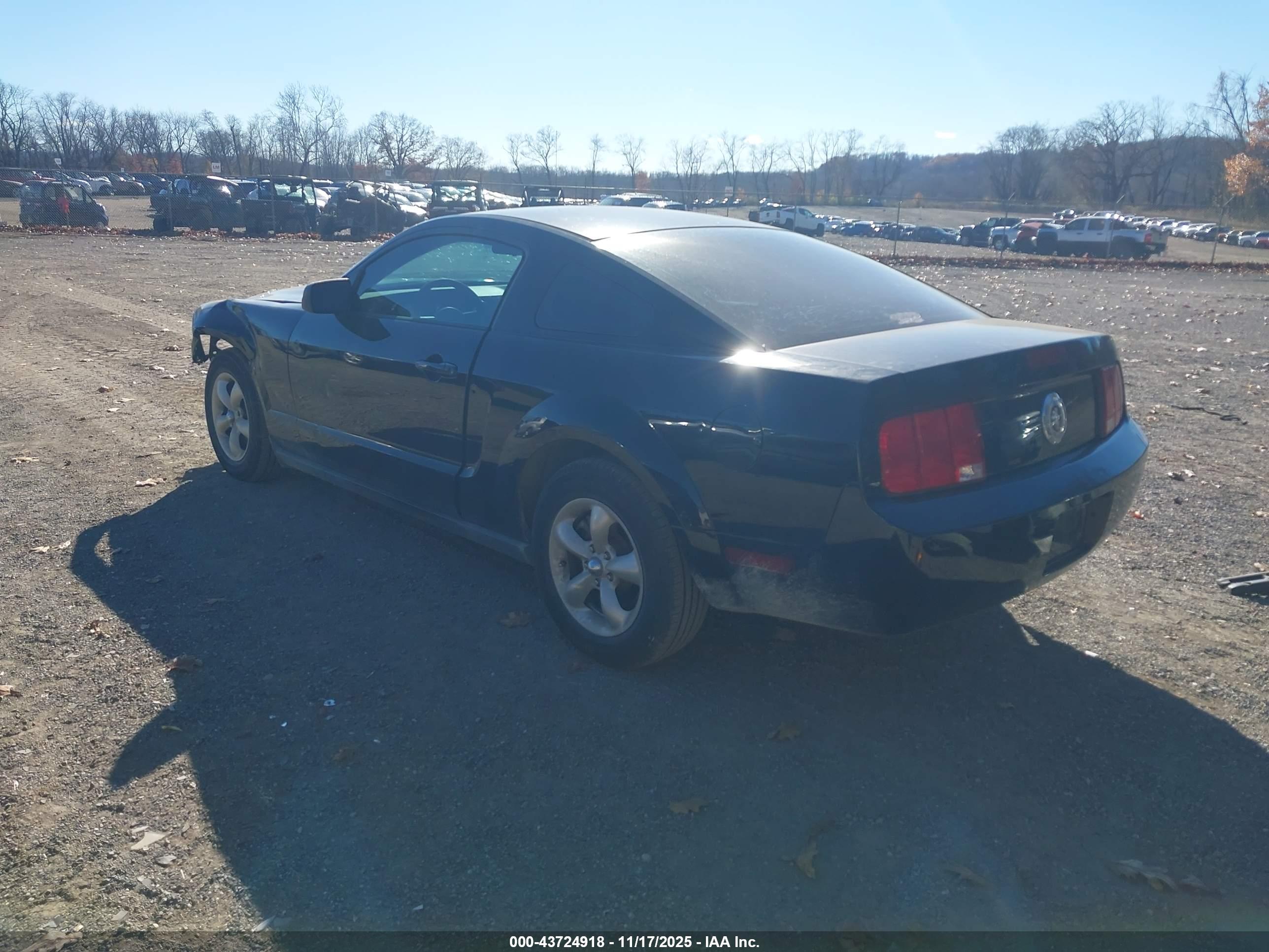 FORD MUSTANG image 3