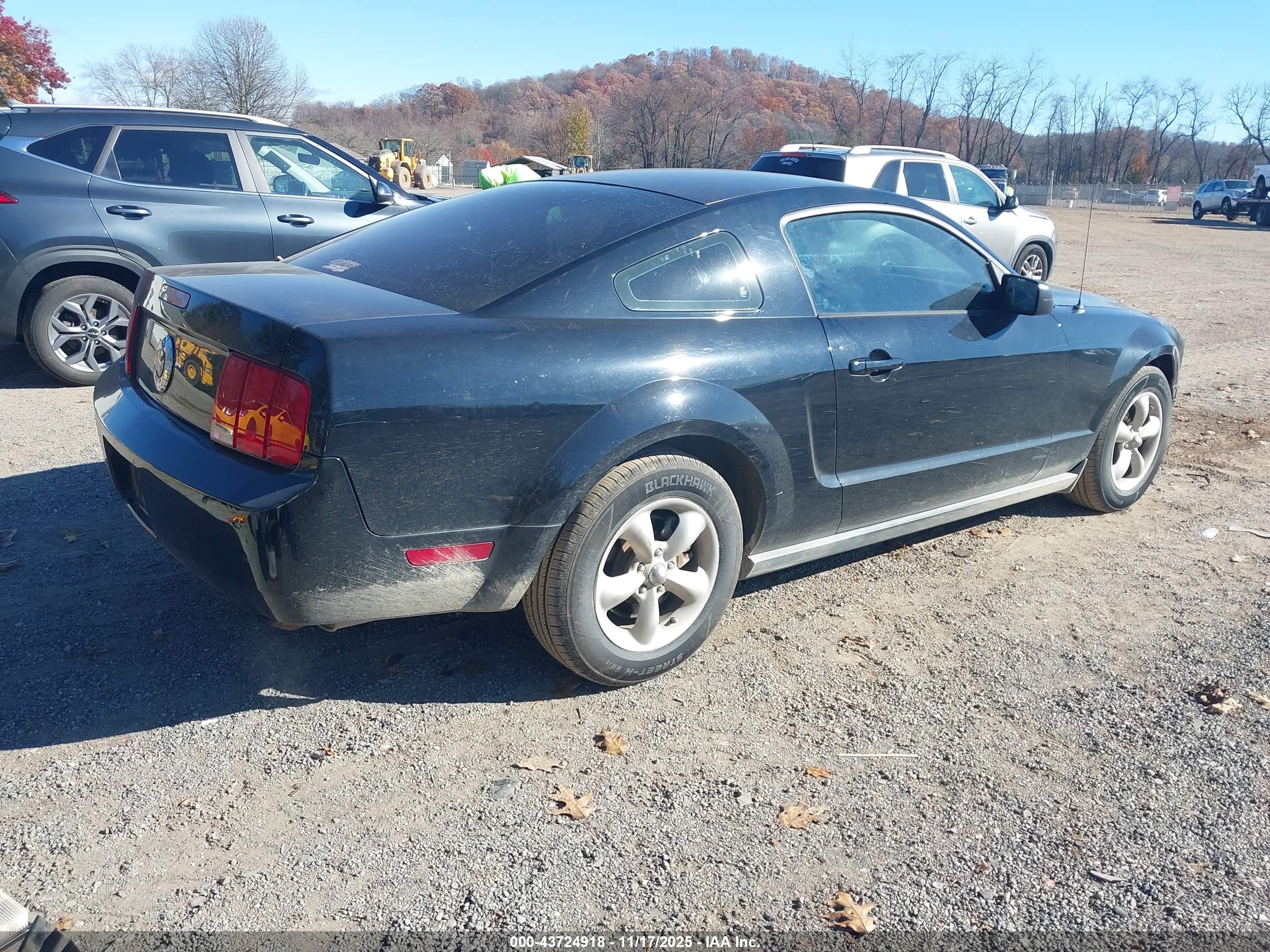 FORD MUSTANG image 4