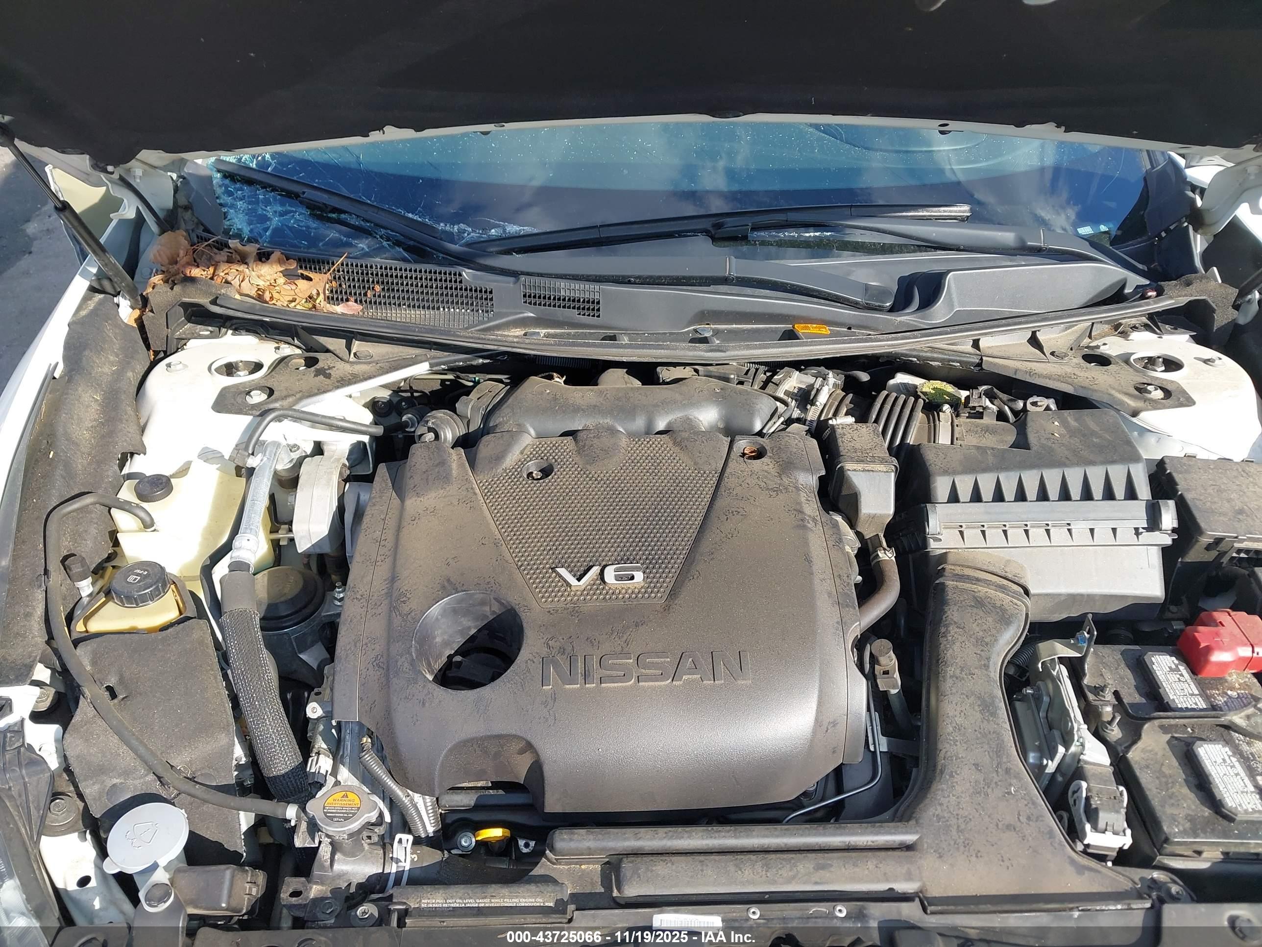 NISSAN MAXIMA image 10