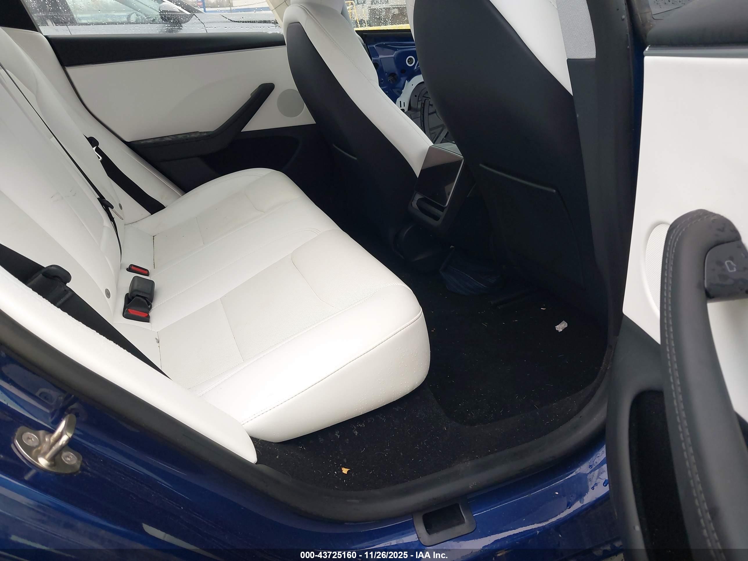 TESLA MODEL image 8