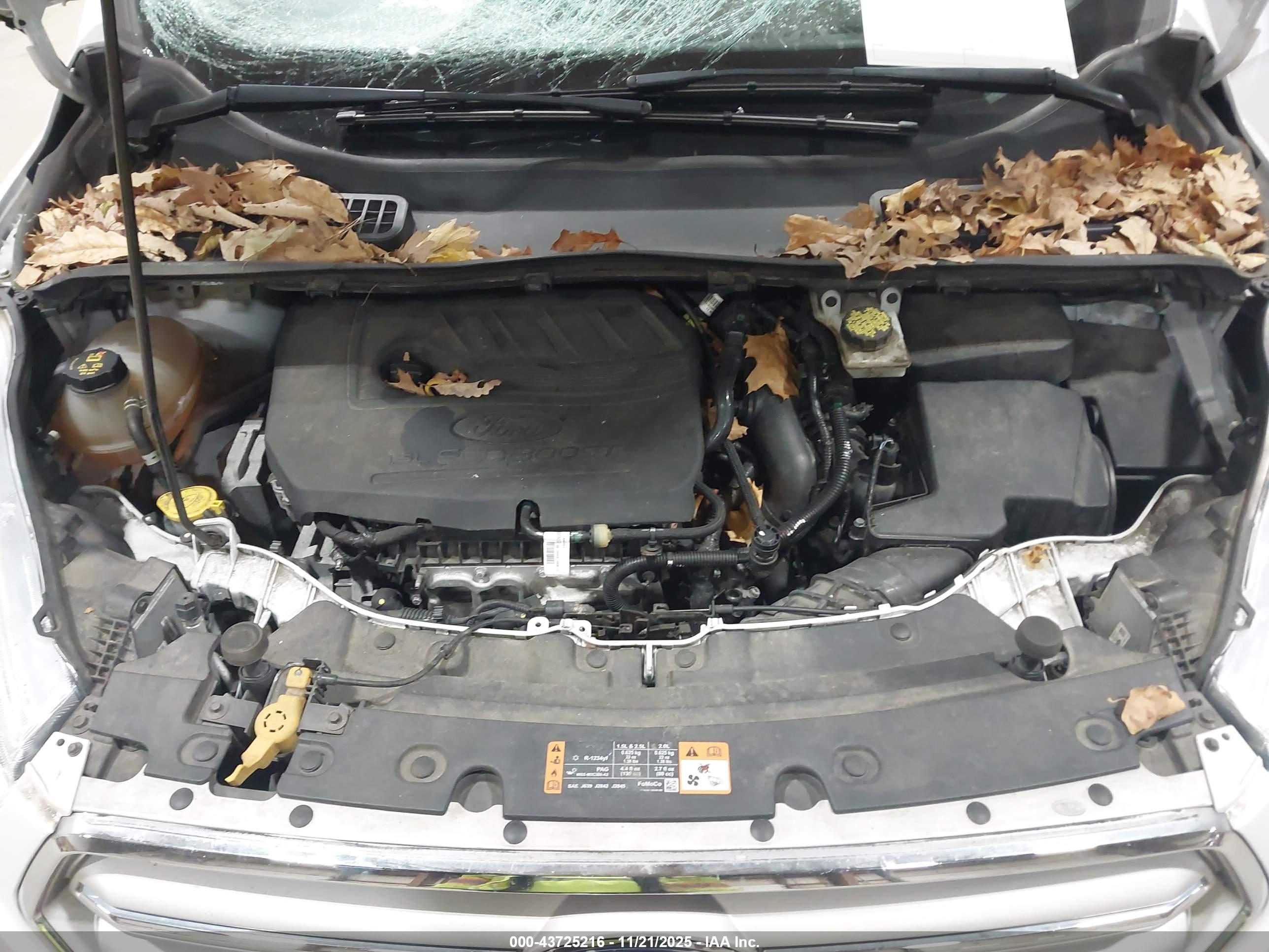 FORD ESCAPE image 10