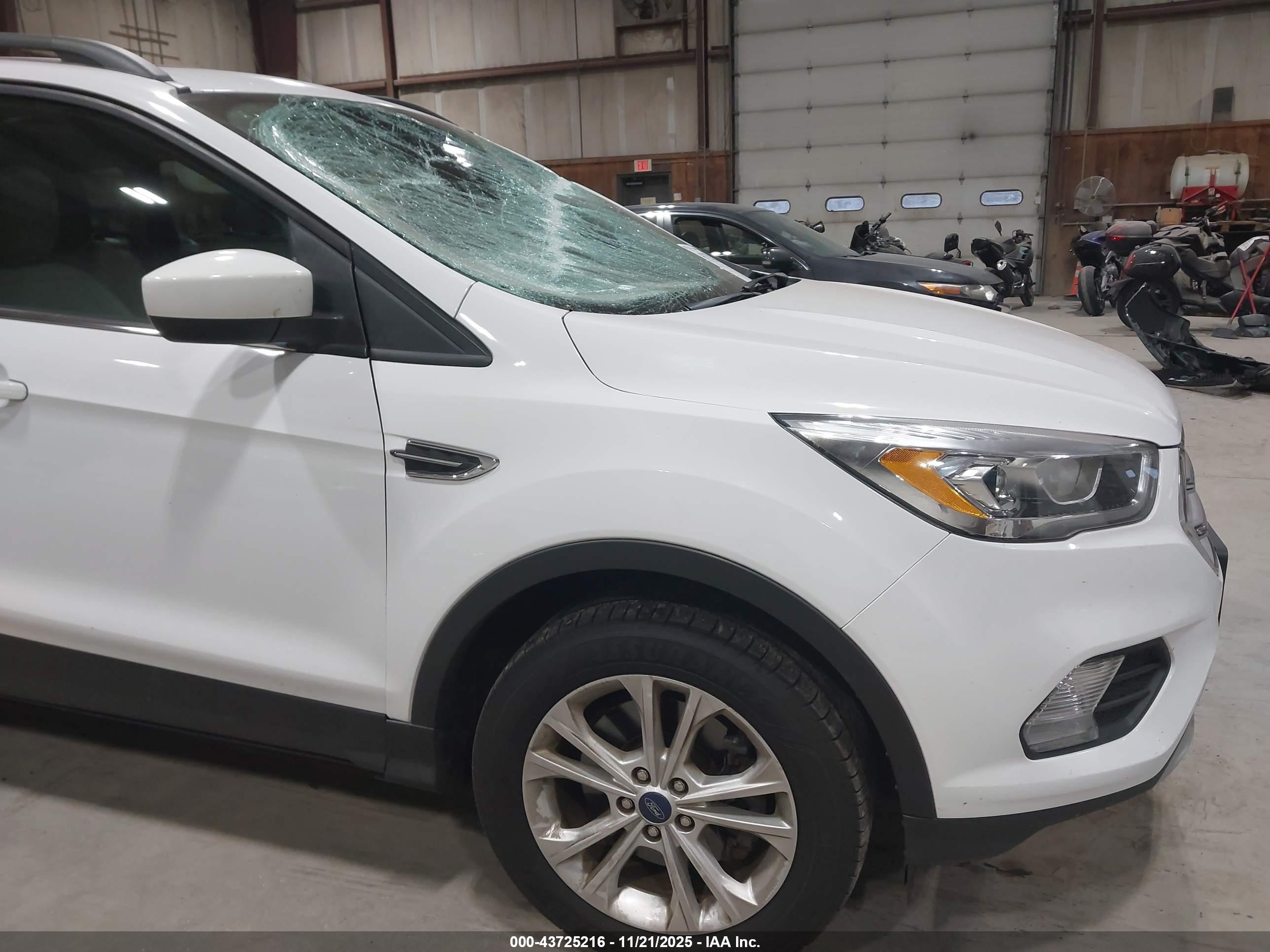 FORD ESCAPE image 6