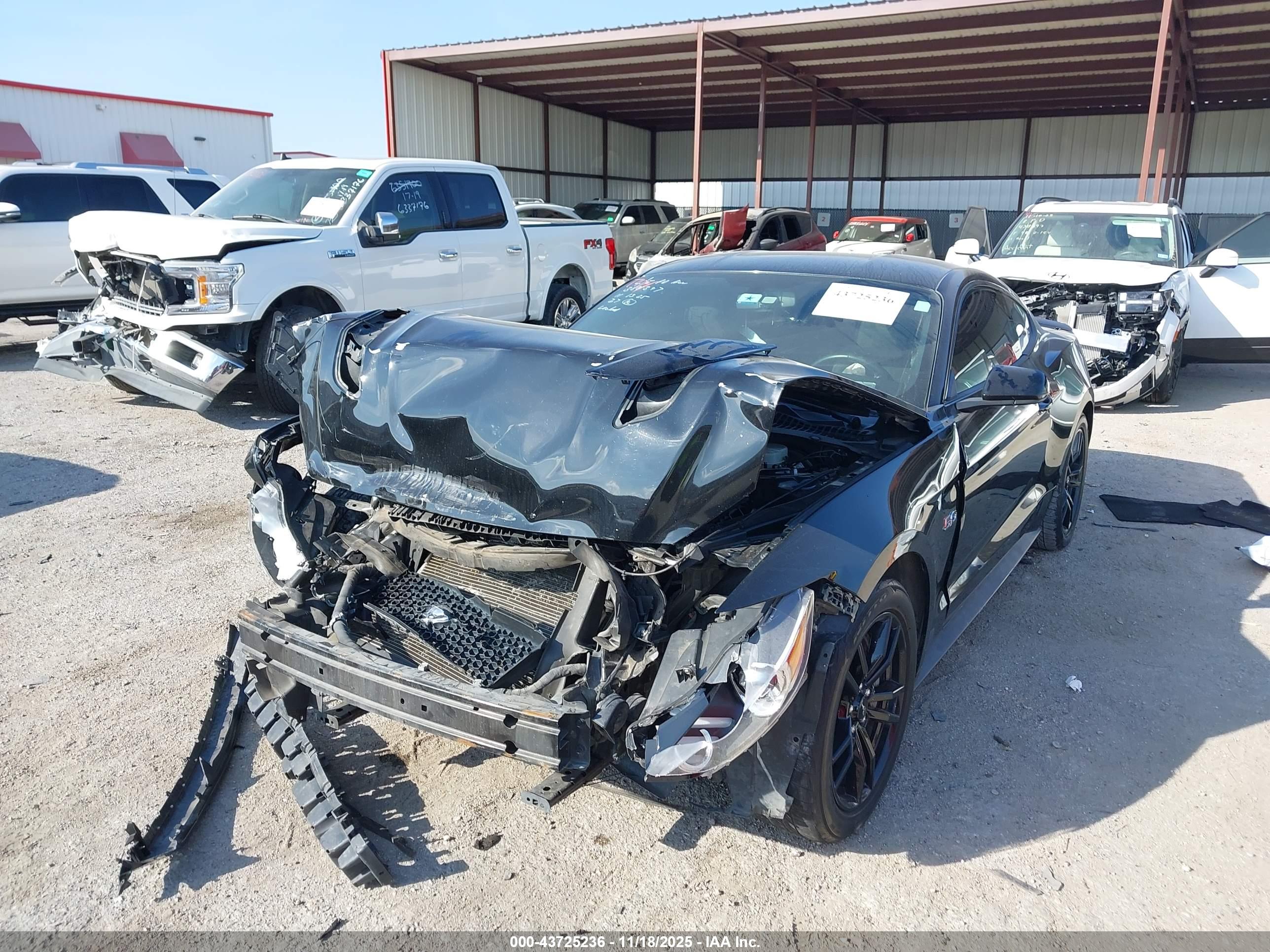 FORD MUSTANG image 2