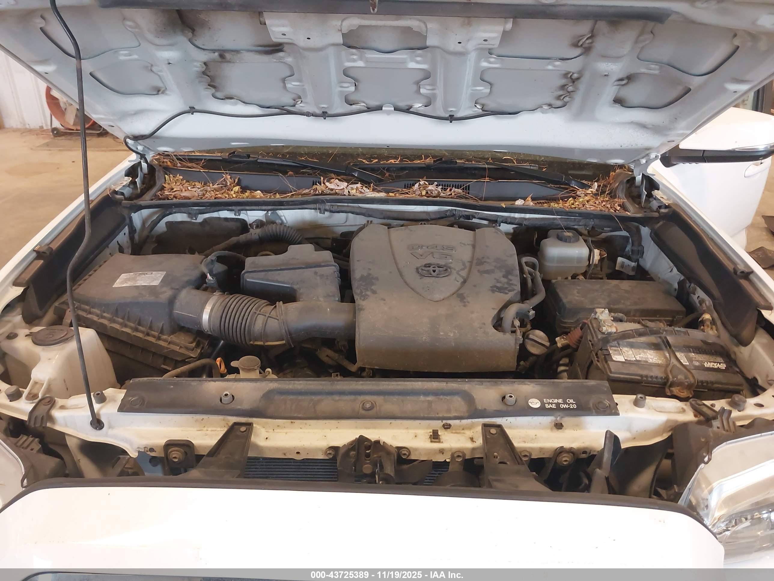 TOYOTA TACOMA image 10