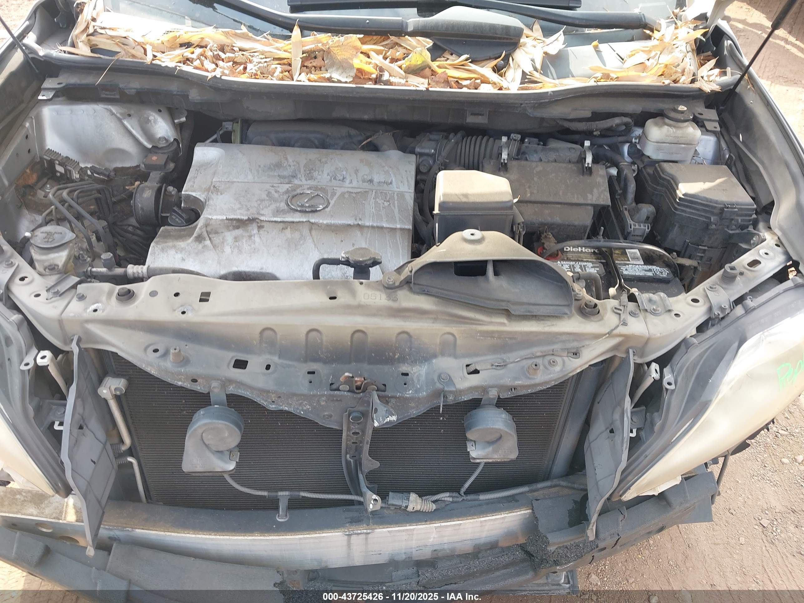 LEXUS RX image 10
